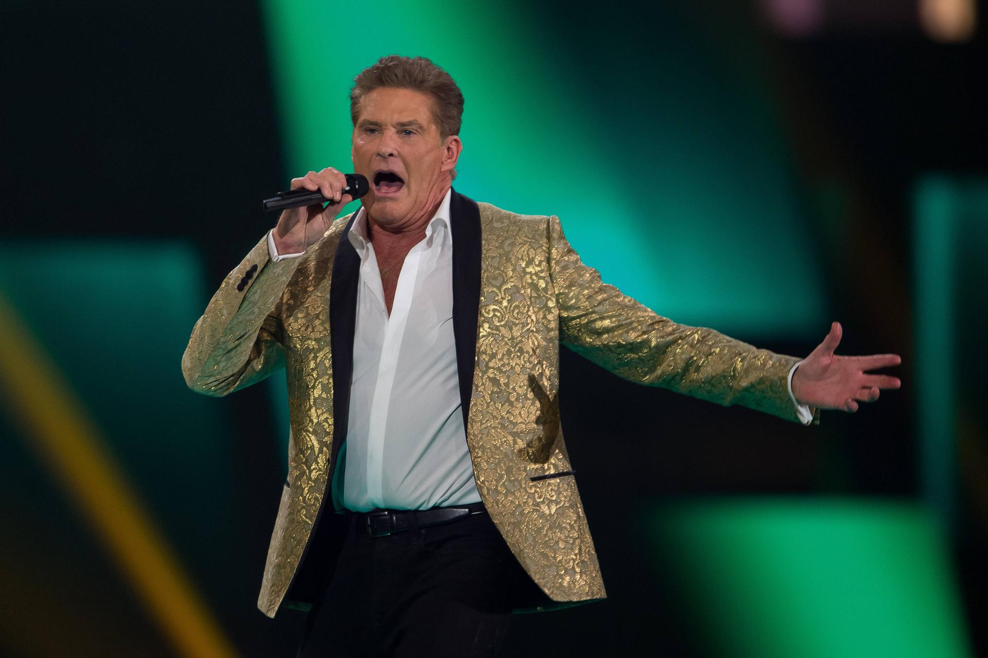 Image - David Hasselhoff: Der Mauerhecht fühlt sich im Recht