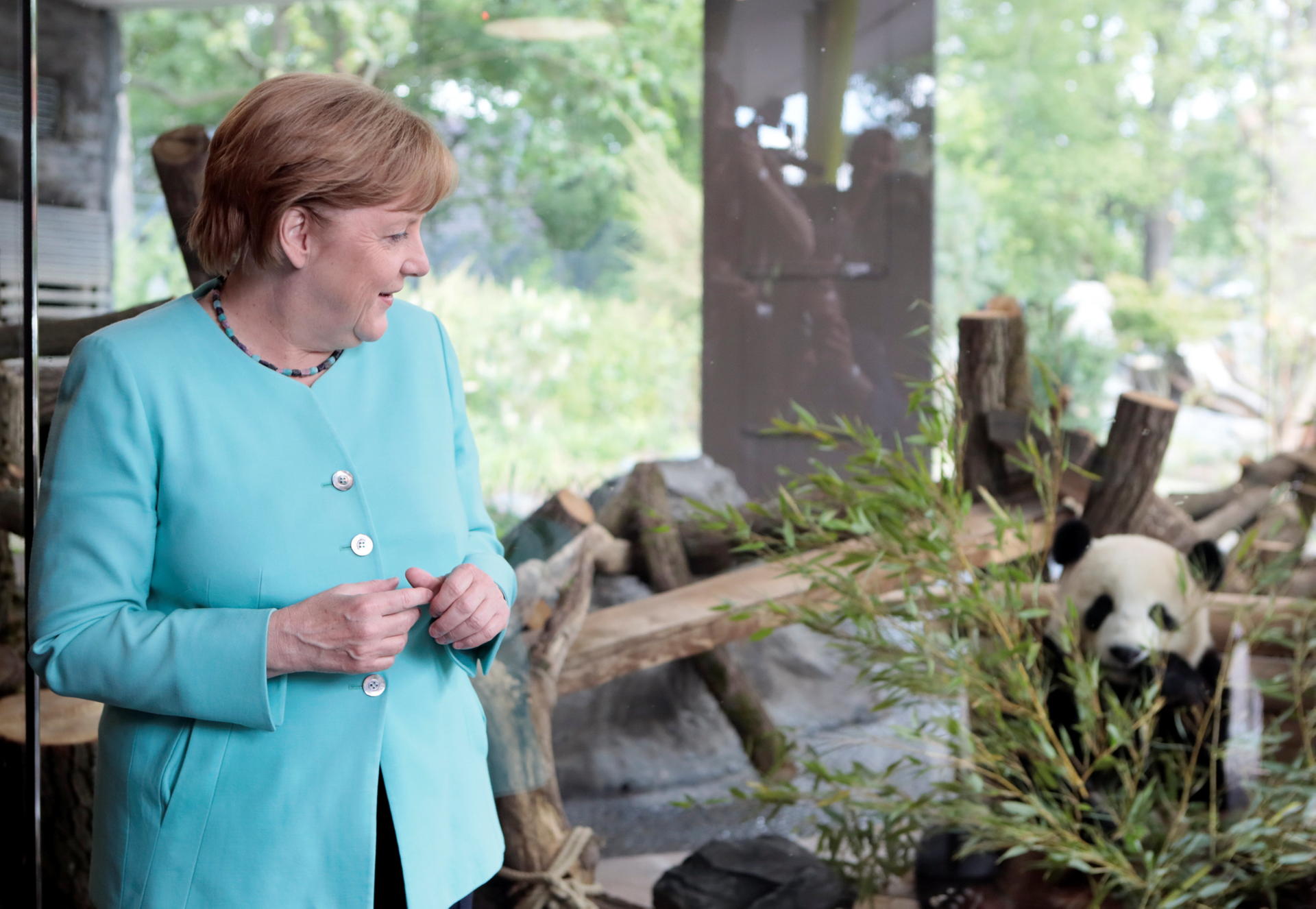 Sorgt Angela Merkel für einen Panda-Oscar? Der Staatsakt für Zoo-Pandas (5. Juli 2017) gilt als preisverdächtig.