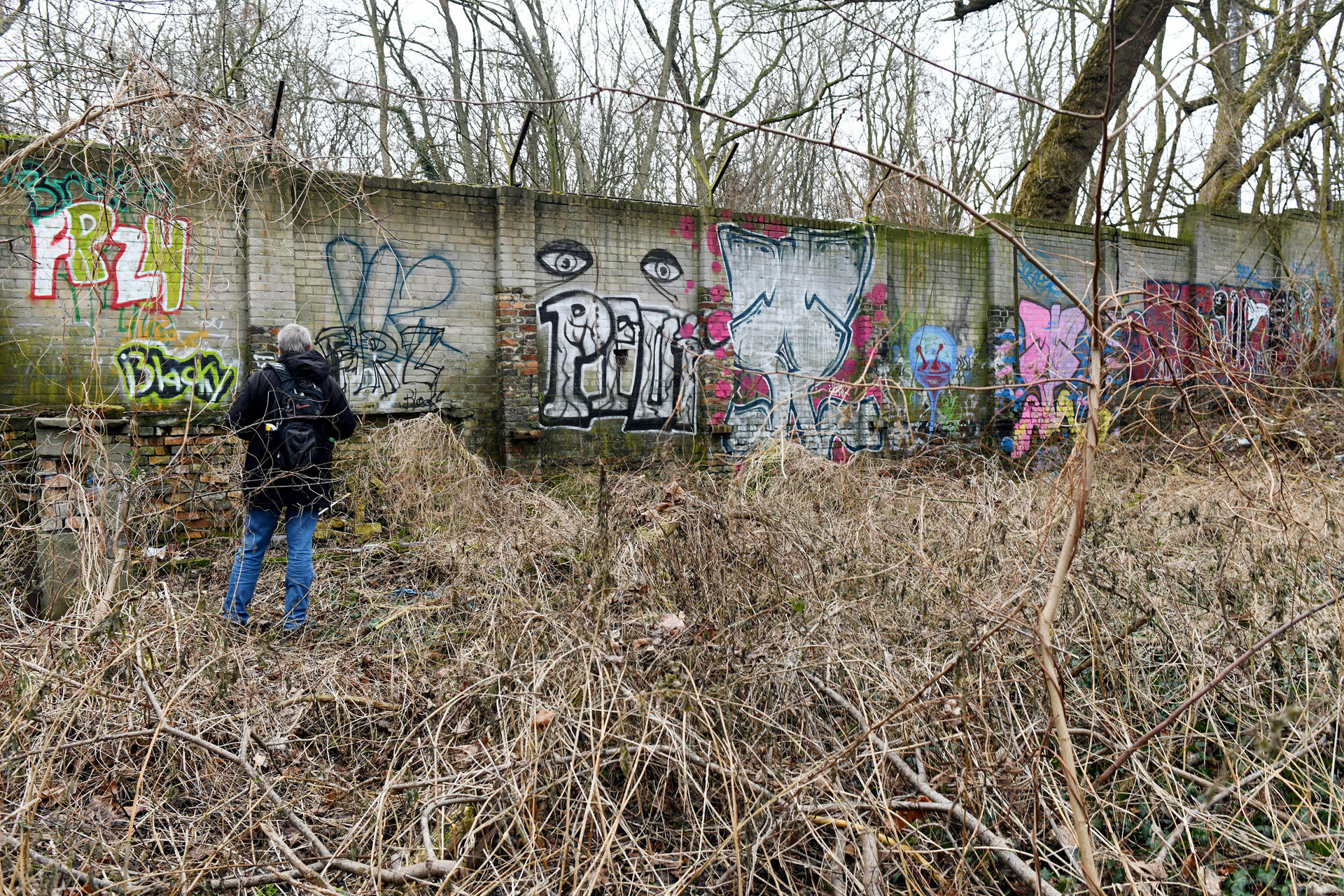 Ein Teil der wiederentdeckten Mauer.