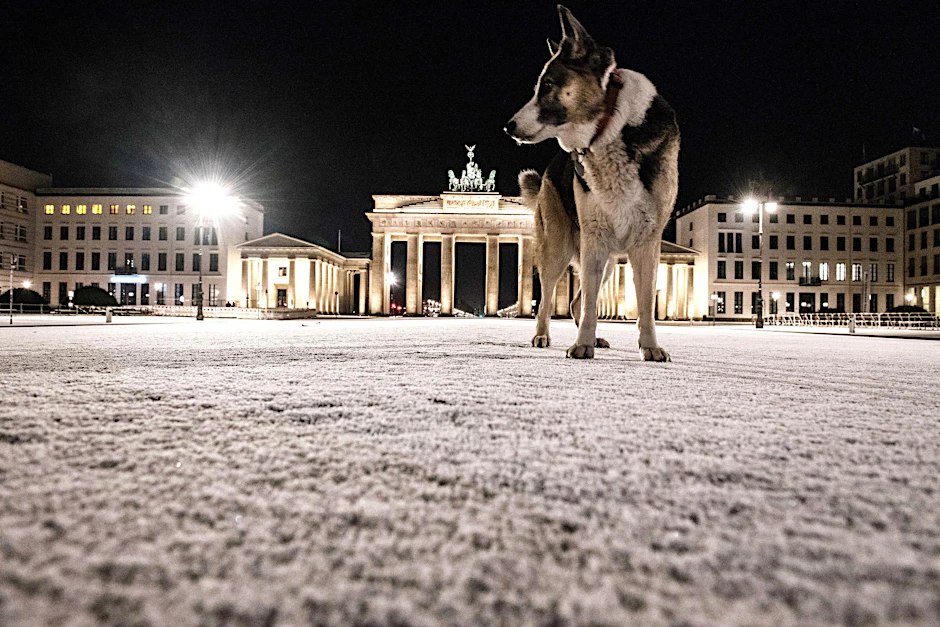 In der Nacht zu Dienstag fiel in Teilen Berlins Schnee. Die kommenden Nächte werden eisig kalt.