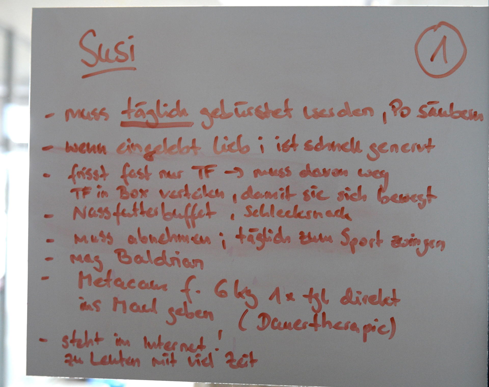 Dieser Zettel gibt die wichtigsten Informationen über Mieze Susi wieder.