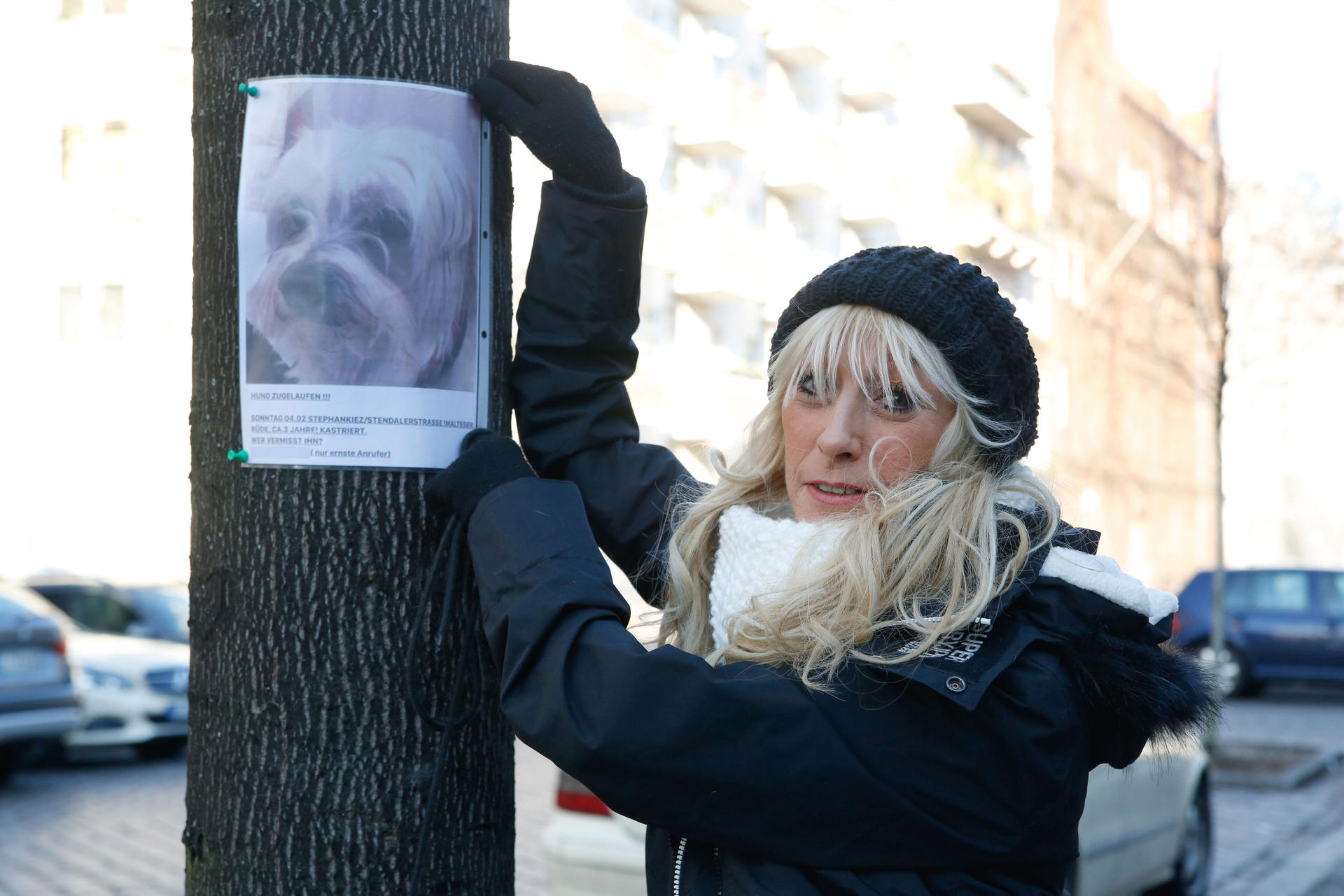Mit Plakaten und auf Facebook fahndete die Tierschützerin nach der Familie des süßen „Fellknäuels“. 