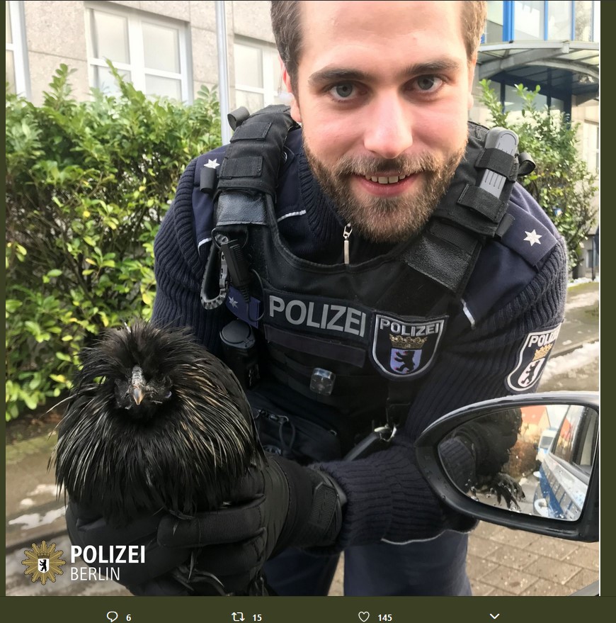 Polizist Bastian fing den Hahn. Seit Januar wohnt Alfred im Tierheim.