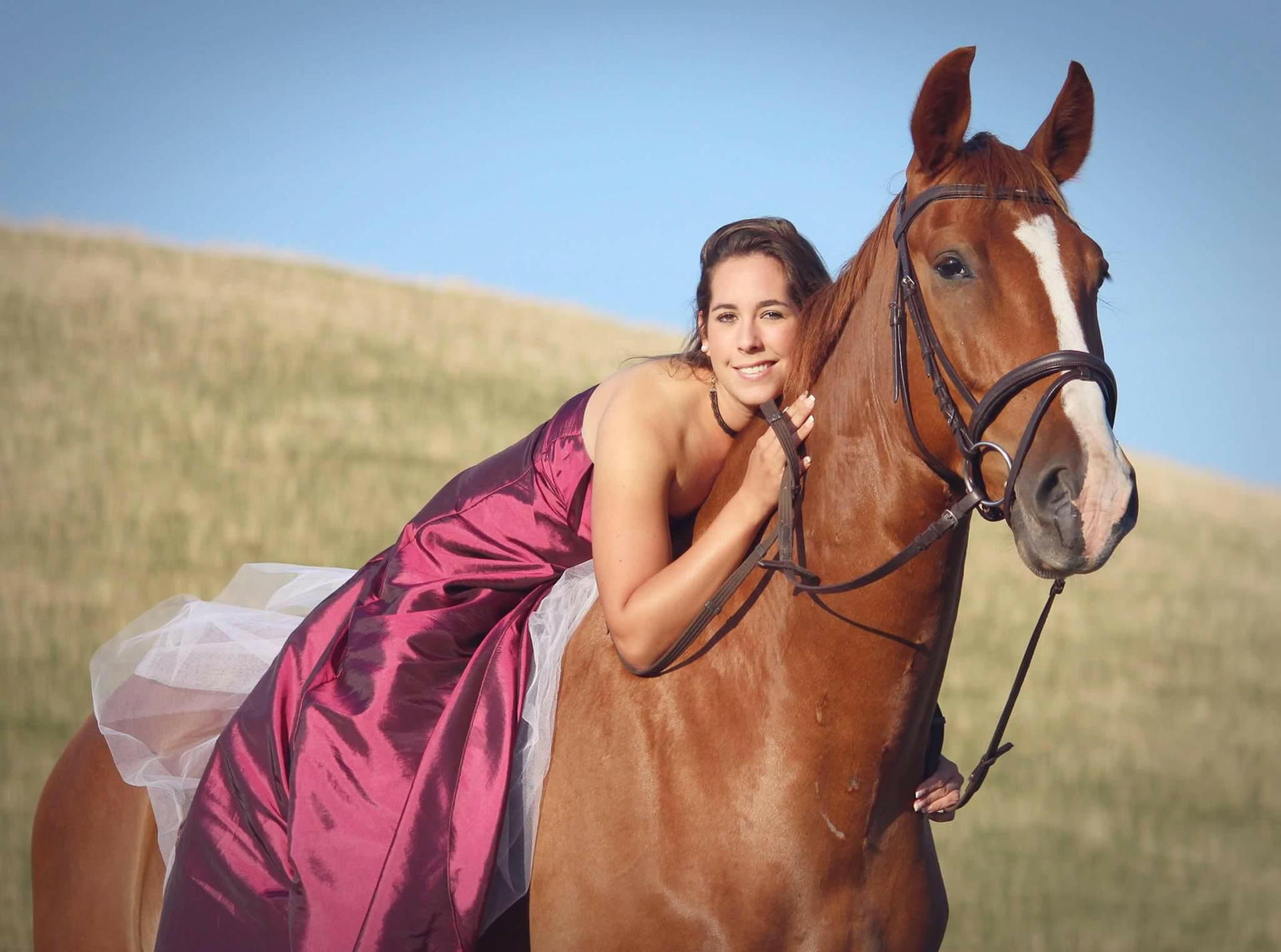 Image - Dubiose Ebay-Betrüger: Mein Calando wurde ein Opfer der Pferde-Mafia!