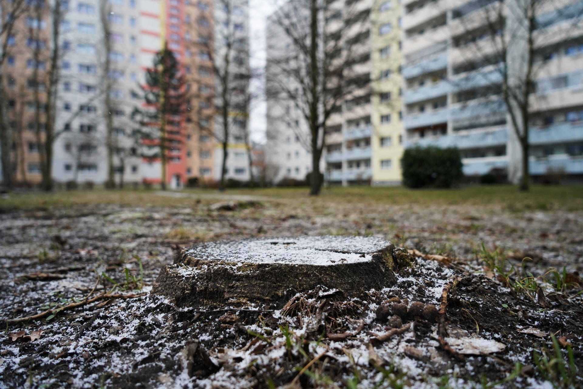 Spätwinter-Tristesse in Berlin: Ein paar Flocken, ansonsten spürt die Hauptstadt vor allem die Winter-Kälte. 