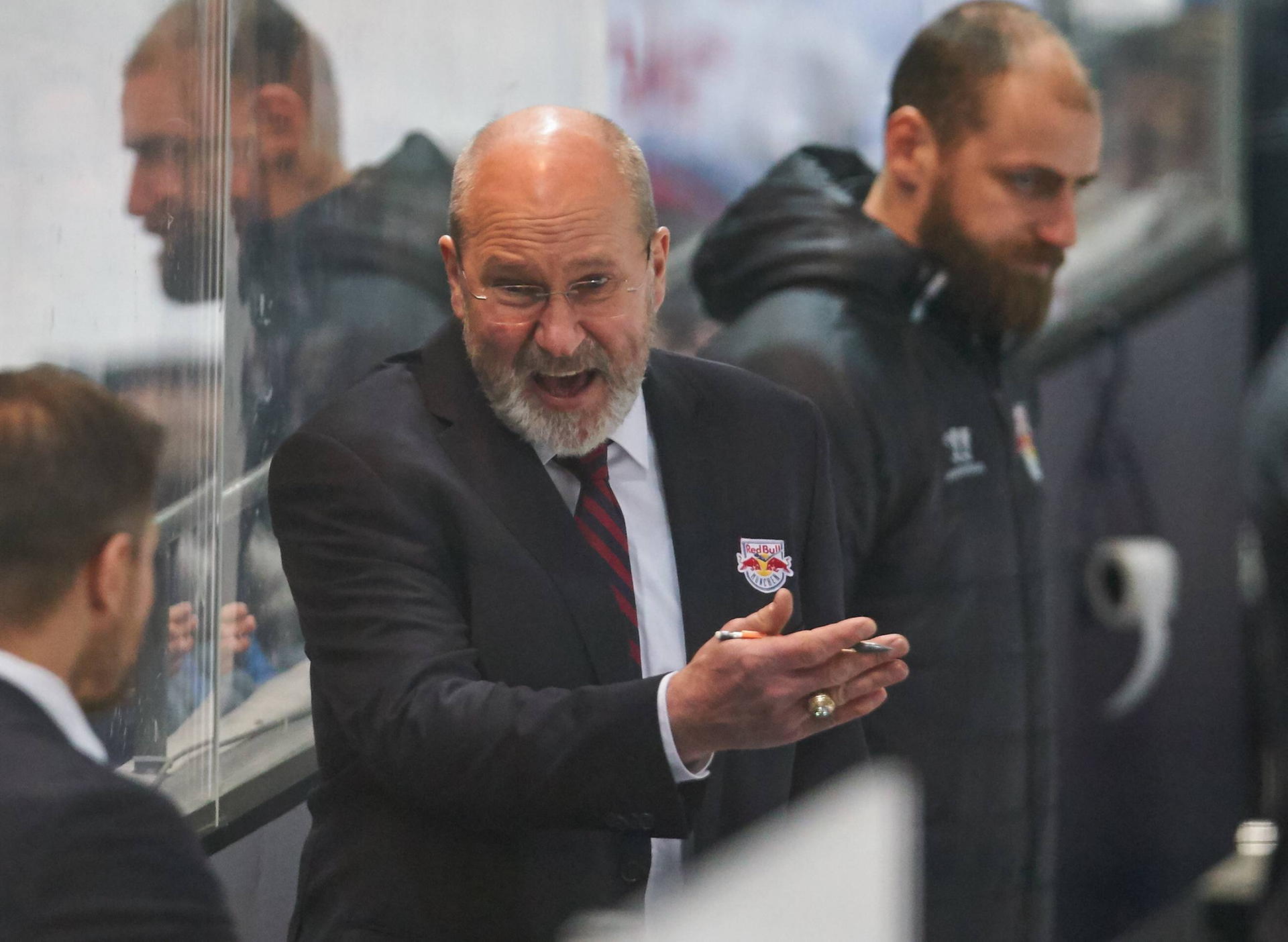 Image - Münchens Don Jackson droht den Eisbären: „Wir kommen sofort zurück“