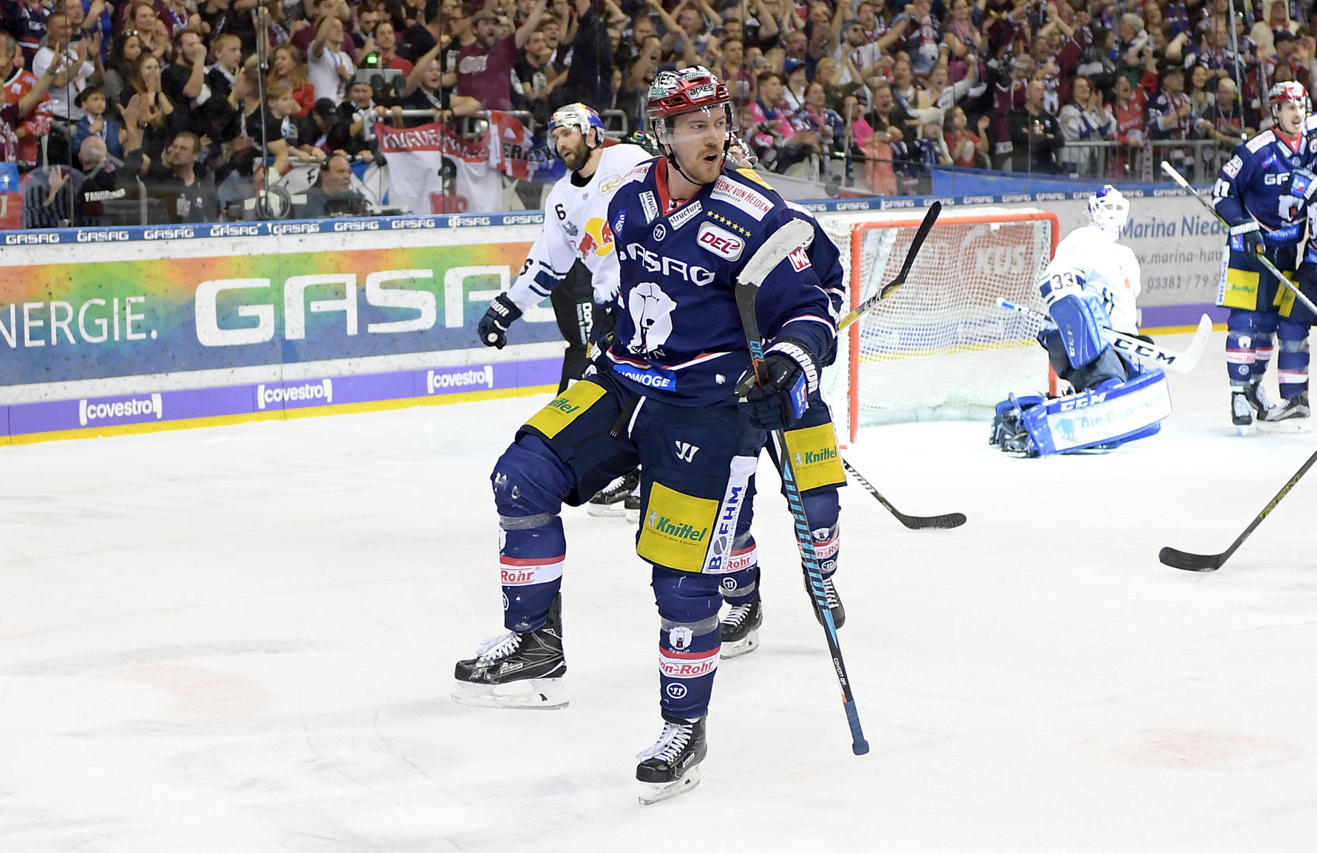 Image - Eisbären: Straft die Statistiker Lügen