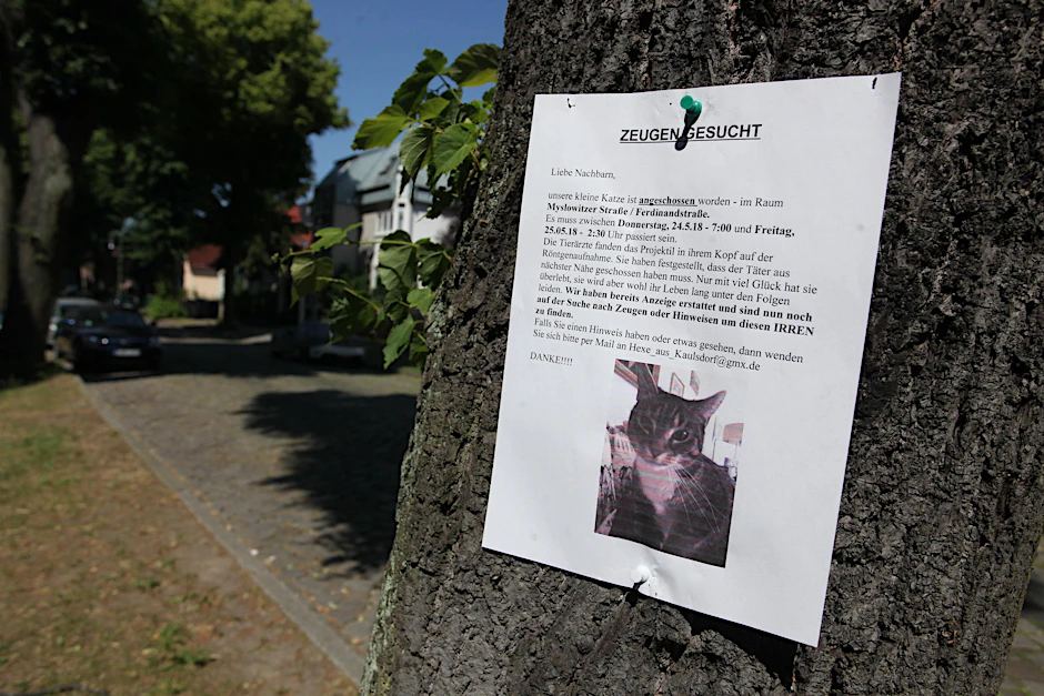 Mit diesen Aushängen versucht die 34-Jährige, Hinweise auf den Täter zu bekommen. 