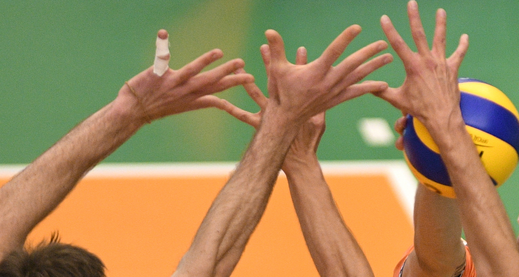 Image - Volleyball-Finale: Berlin Volleys verlieren in Friedrichshafen