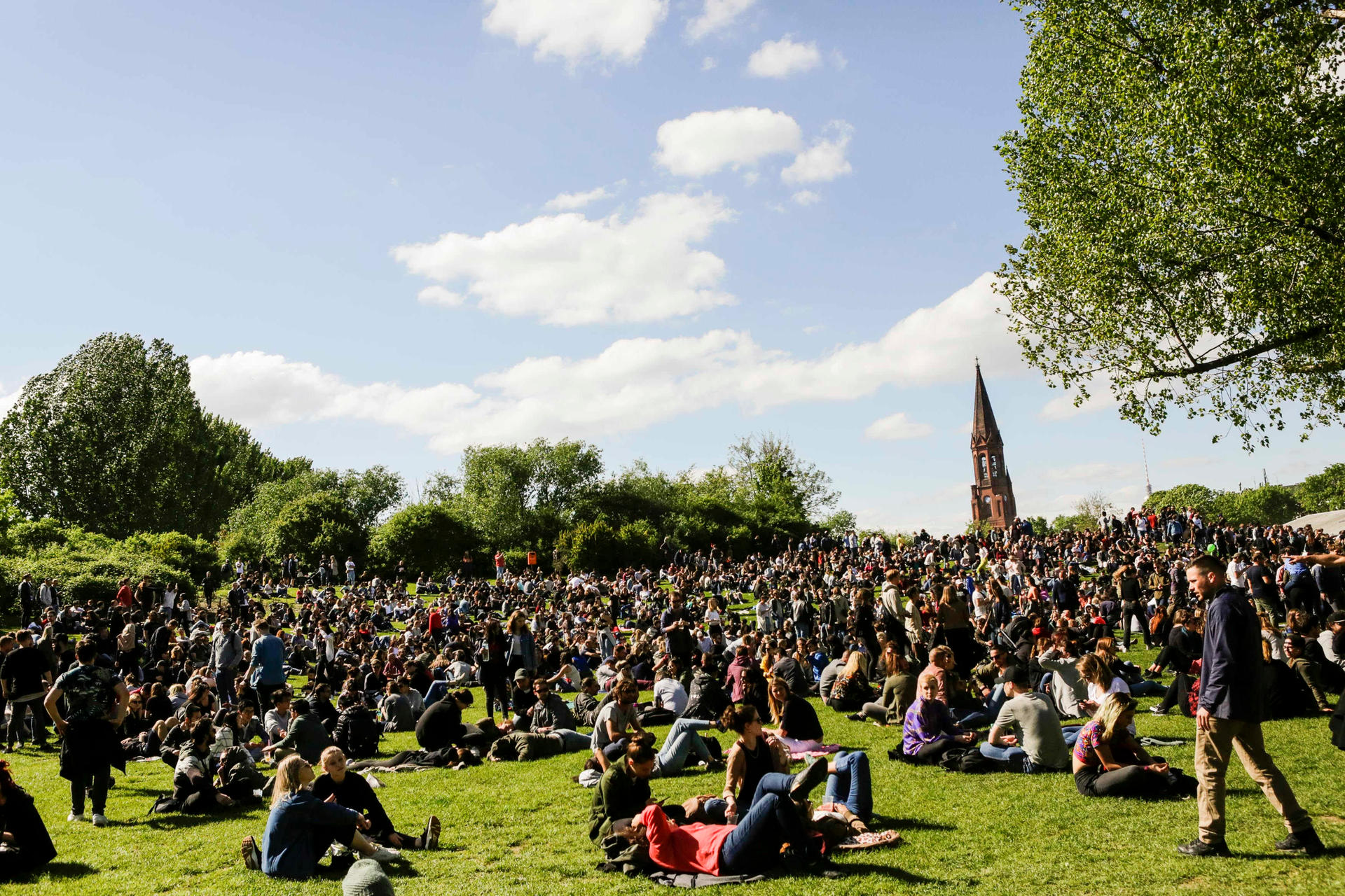 Am frühen Nachmittag war im Göritzer Park tatsächlich noch Grün zu sehen. 