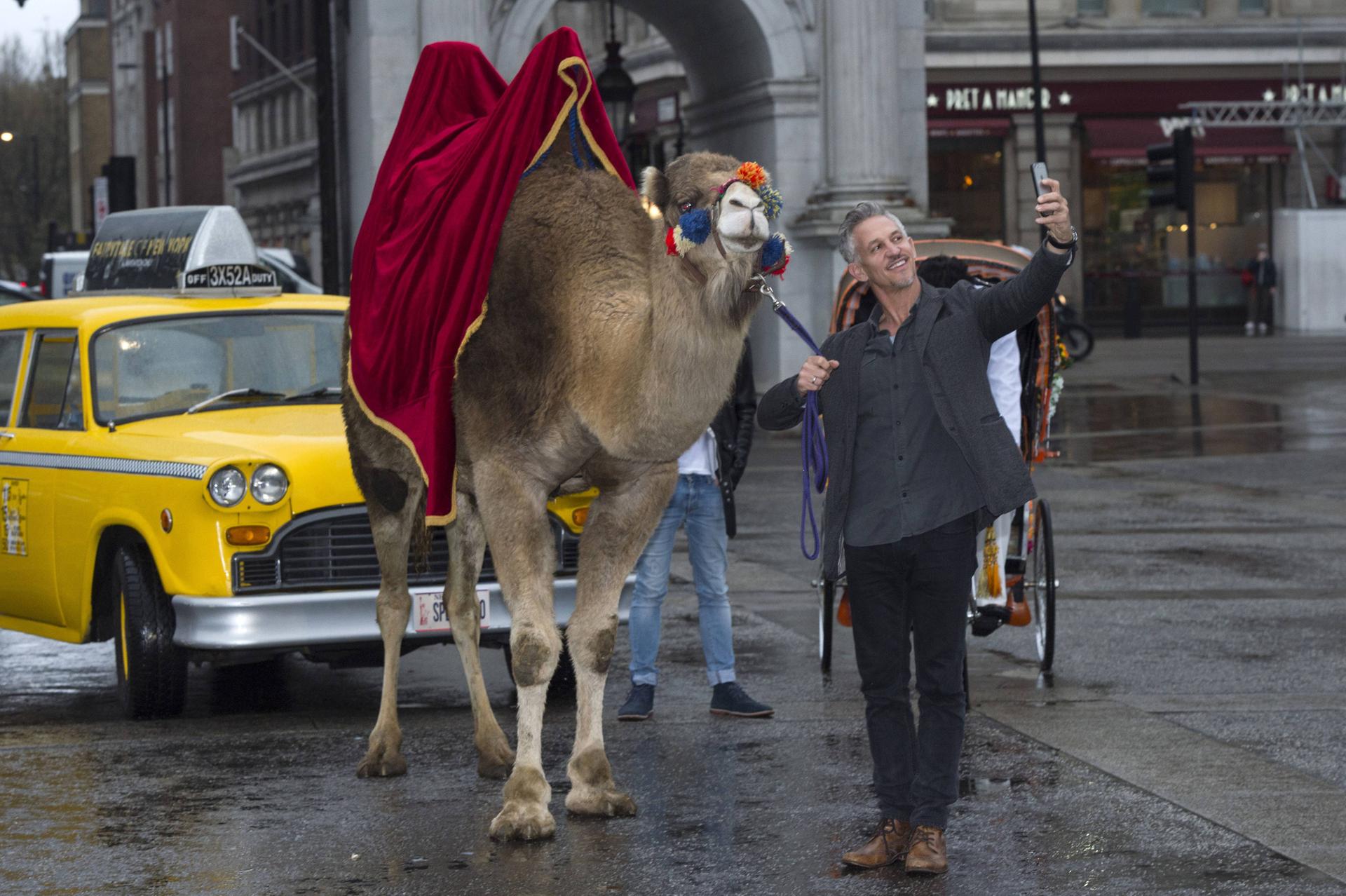 Image - Twitter-Ikone : Gary Lineker freut sich über DFB-K.o.