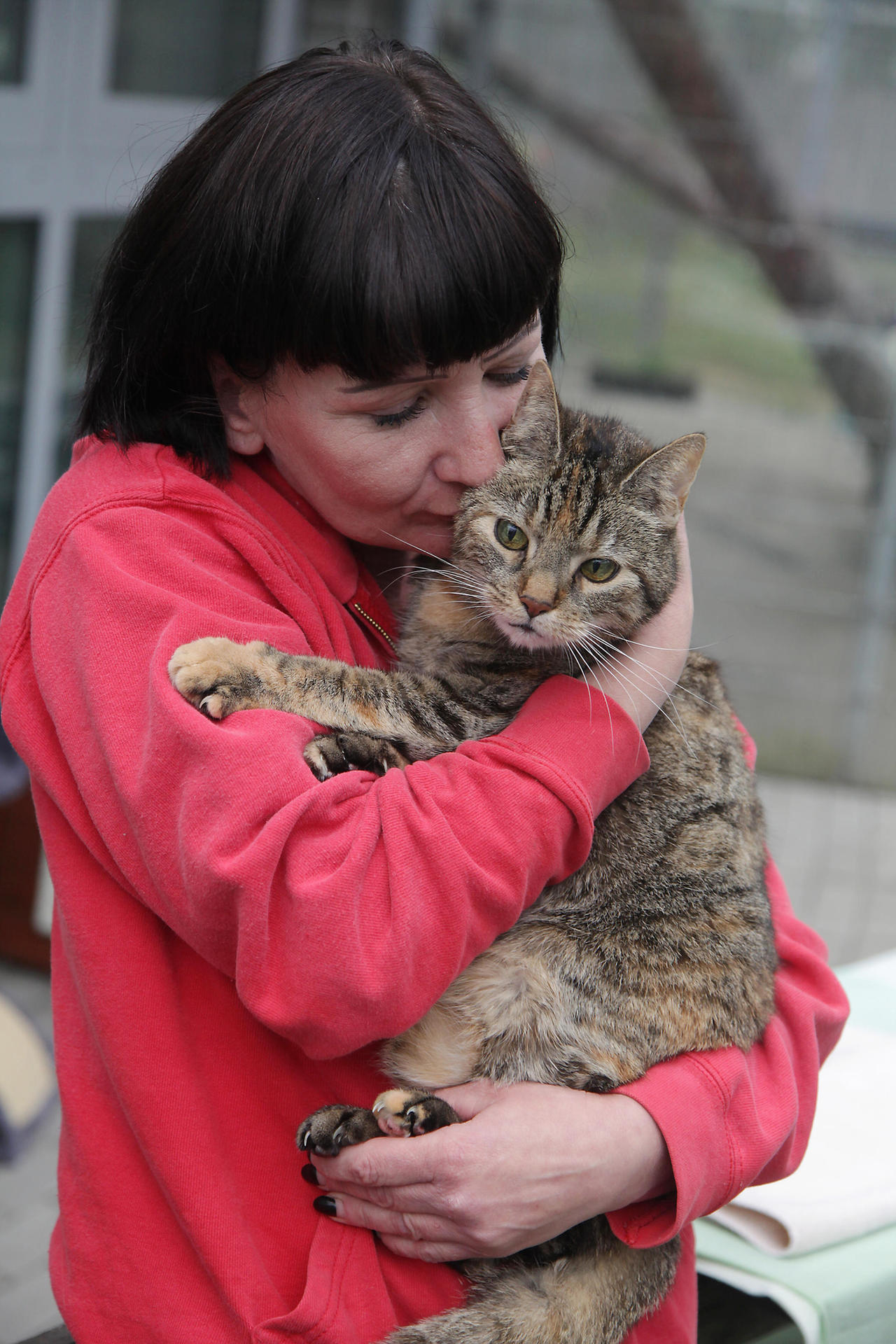 Tierheim Berlin: Katzen Aus Dem Seniorenhaus Will Niemand