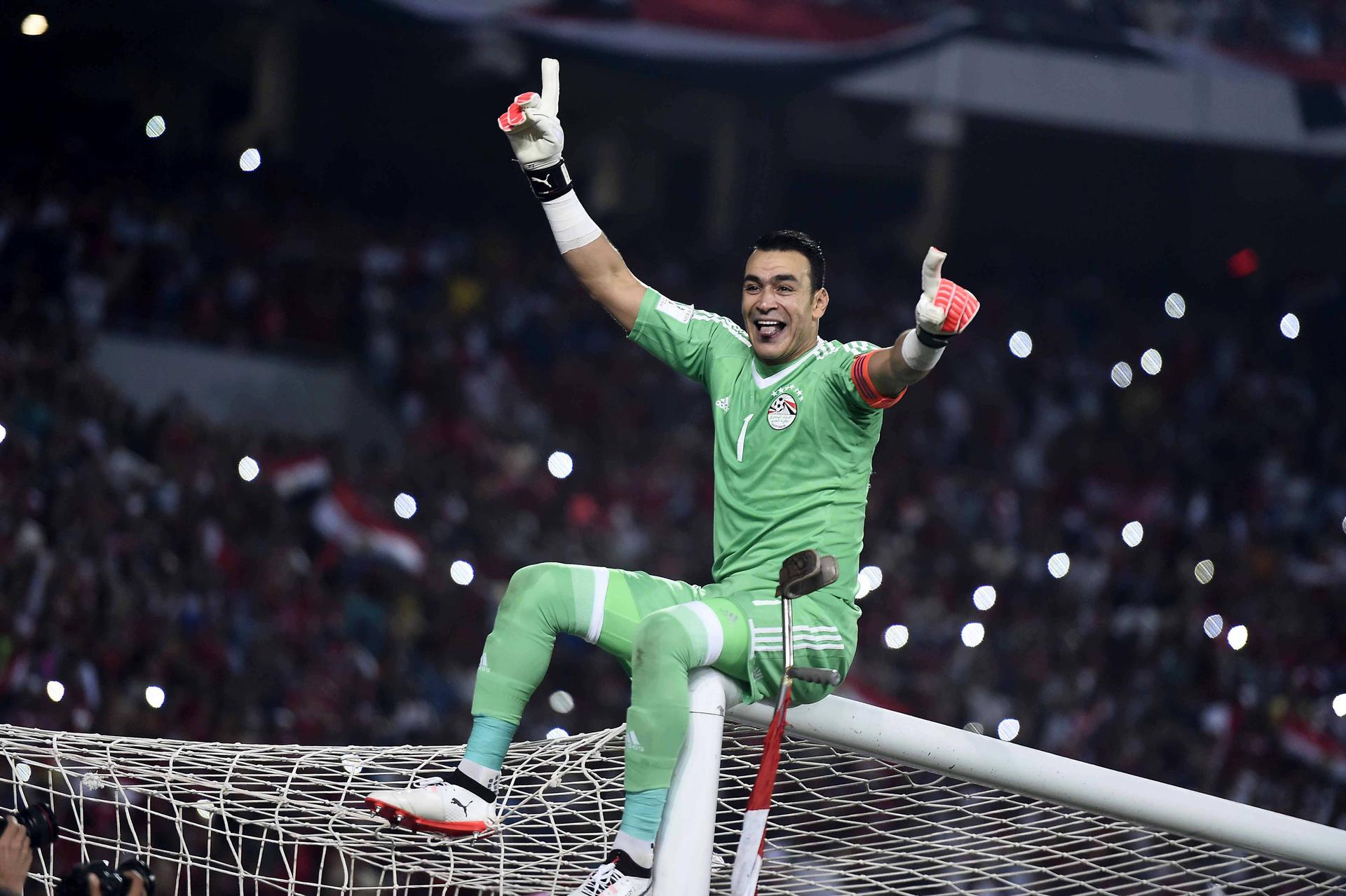 Jippieh, endlich WM: Nach dem entscheidenden Sieg gegen den Kongo kletterte Essam El-Hadary aufs Tor.