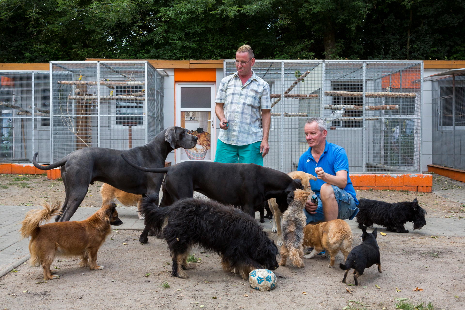 „Tierheim mit Herz“ Gnade für den Berliner Gnadenhof der Tiere