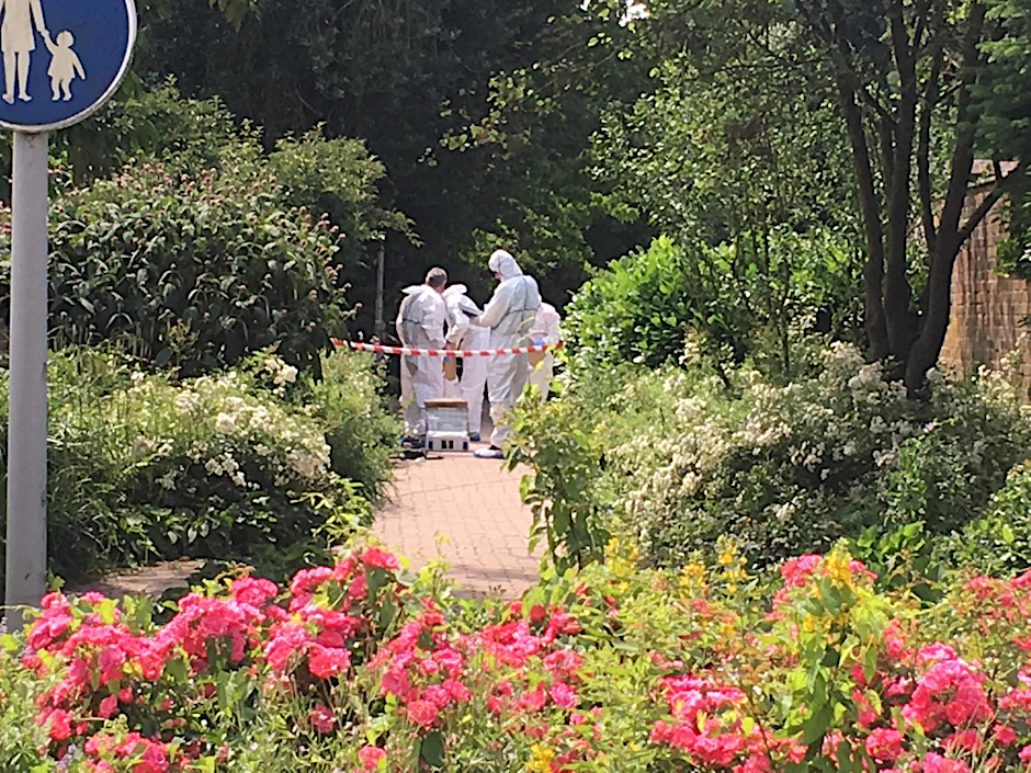 Schreckliche Bluttat an einem besonders idyllischen Platz: Im Casino-Park mitten in Viersen wurde am Montagmittag eine junge Frau erstochen. Der mutmaßliche Täter flüchtete und wurde von einem Polizei-Großaufgebot gesucht.