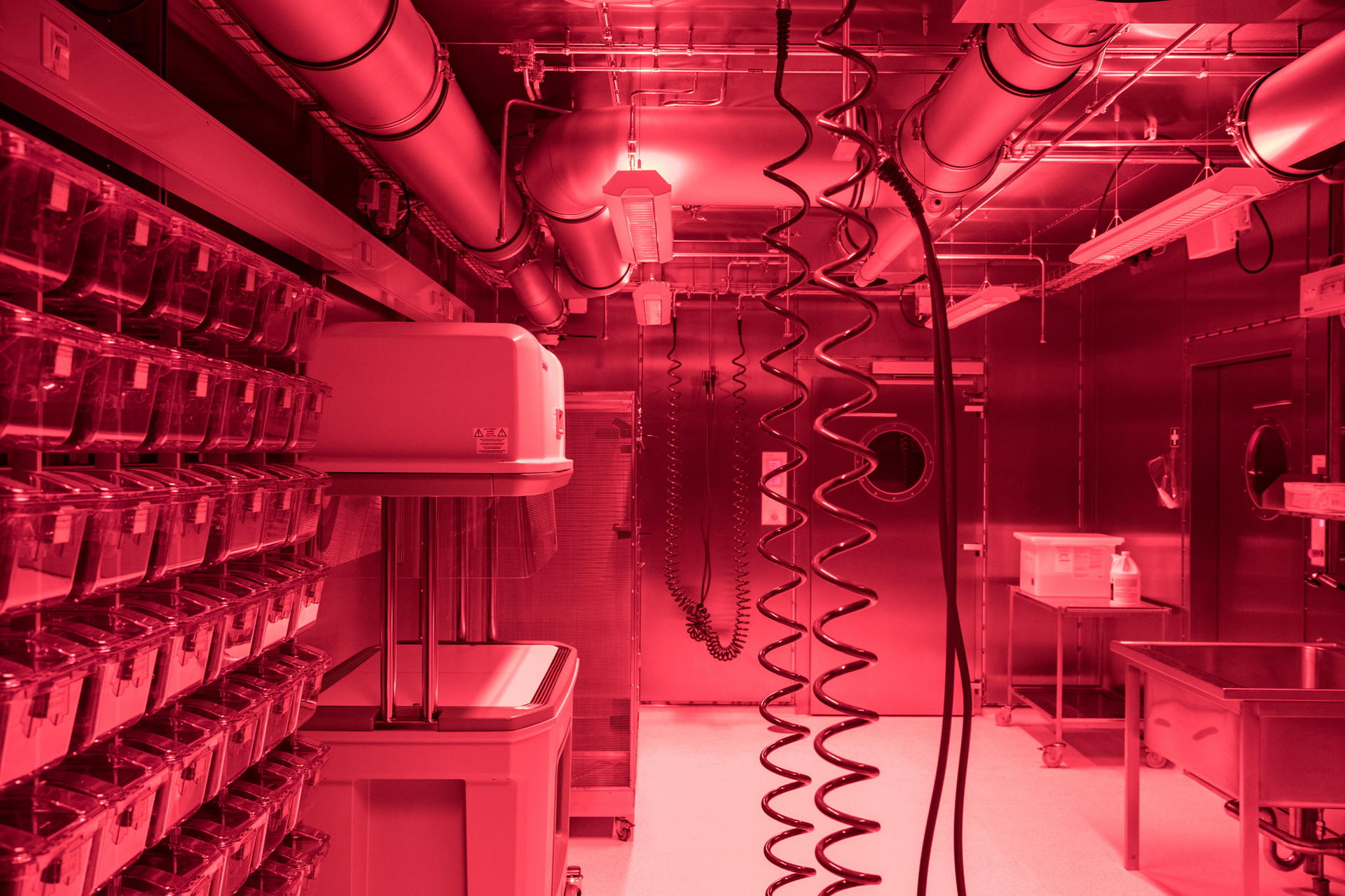 Image - Ebolavirus und Co. in Berlin: Das ist die gefährlichste Adresse der Hauptstadt