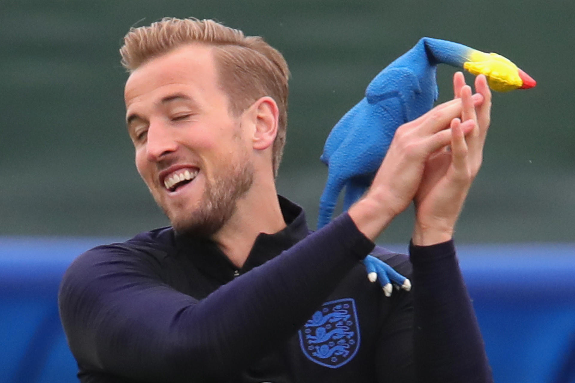Image - England gibt Gummi: Trainer Southgate lässt vor dem Halbfinale die Hühner los