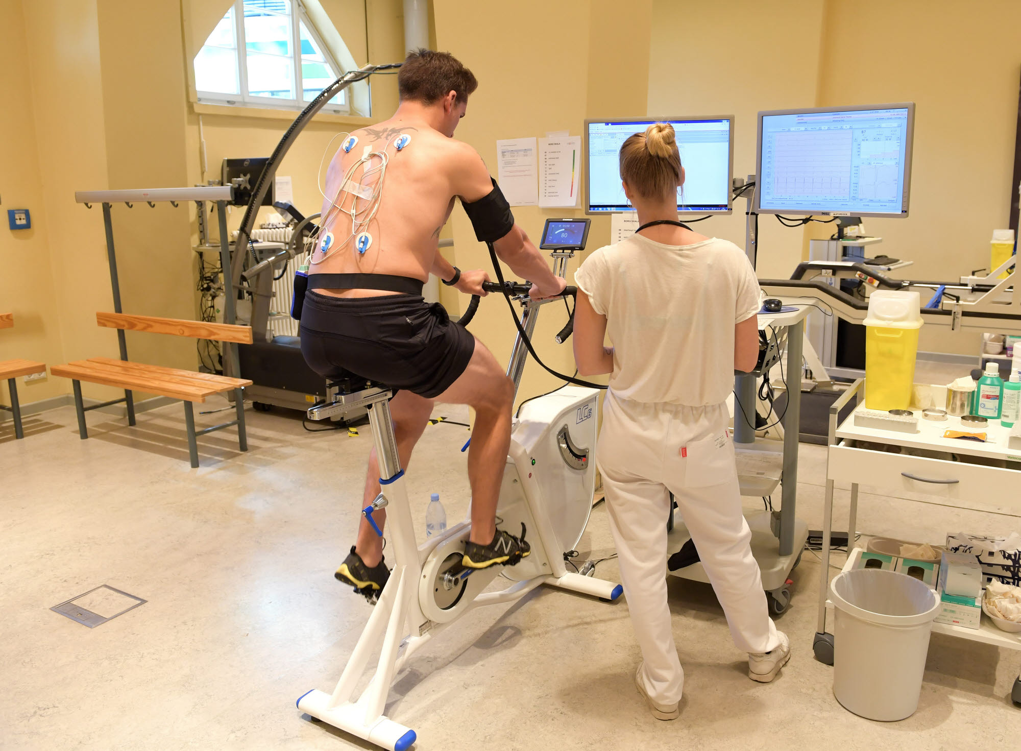 Image - Sie sind die Könige im ewigen Schweiß