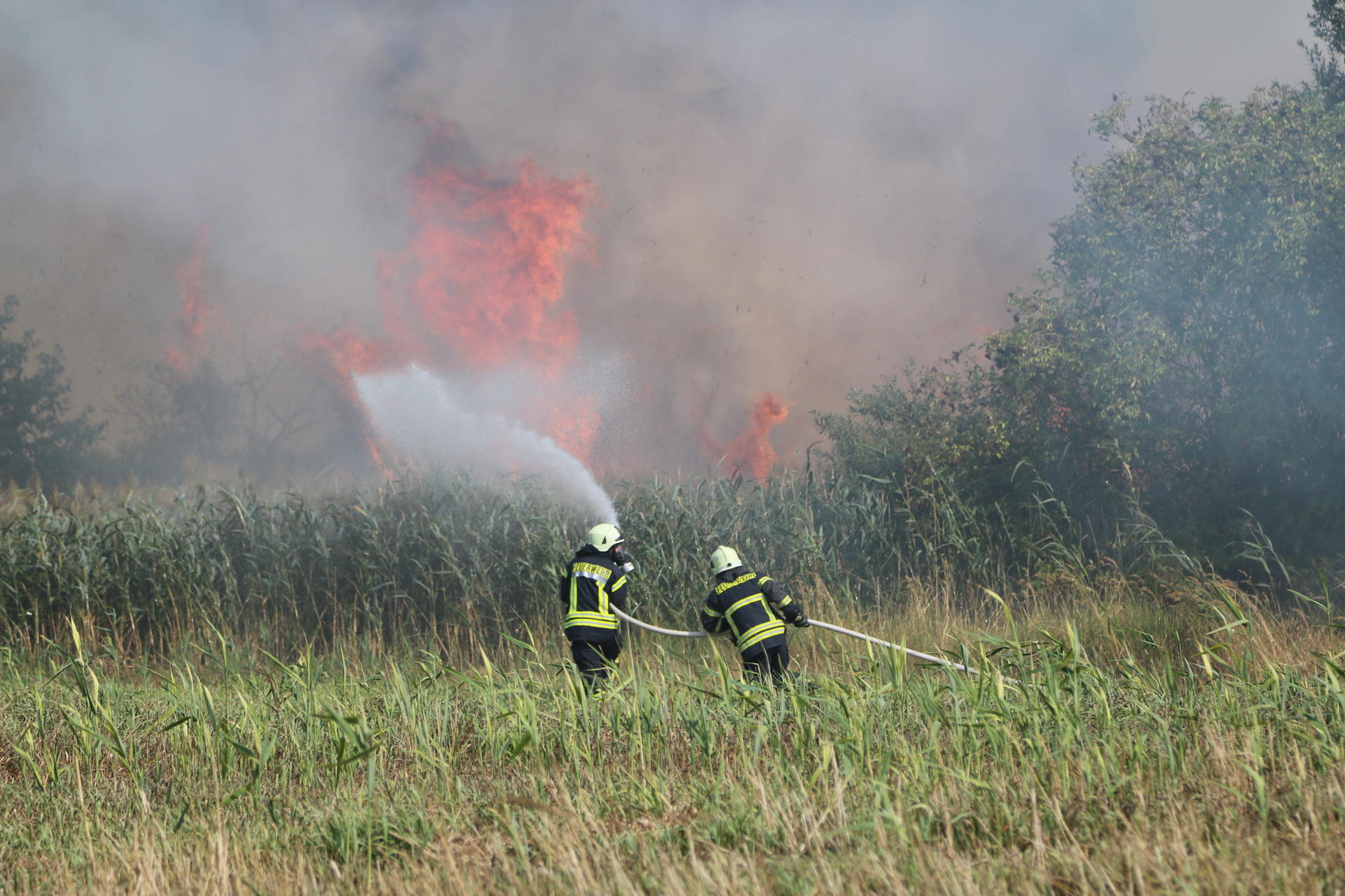 Einsatzkräfte kämpfen gegen einen Brand in Schönow (29.08.2018).
