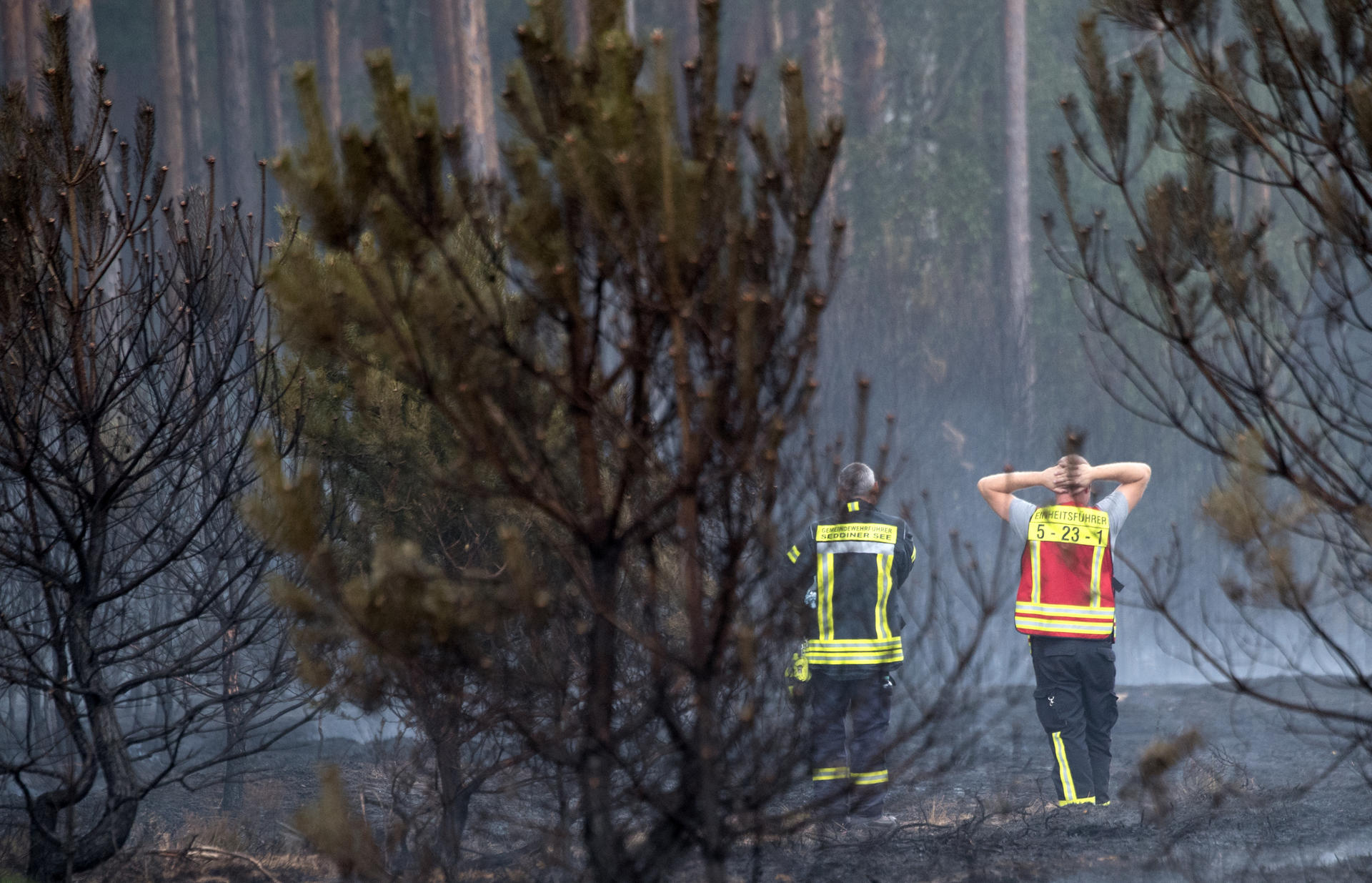 Image - Waldbrände in Brandenburg: „Wir haben noch einmal viele Kräfte angefordert“
