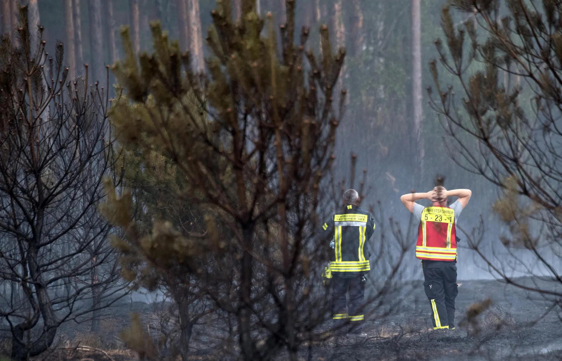 Waldbrände in Brandenburg: „Wir haben noch einmal viele Kräfte angefordert“