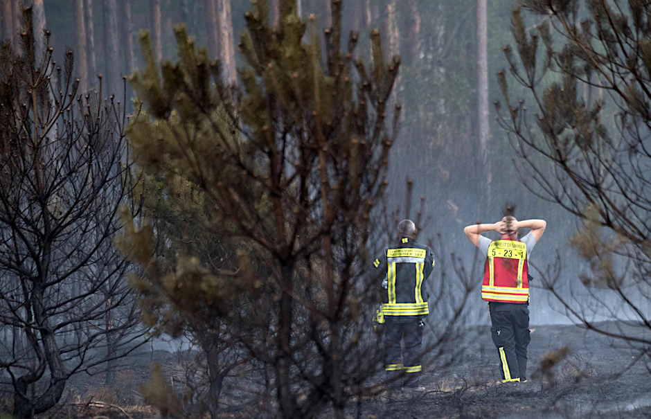 Mitarbeiter der Feuerwehr betrachten während der Löscharbeiten ein verbranntes Waldstück bei Beelitz.
