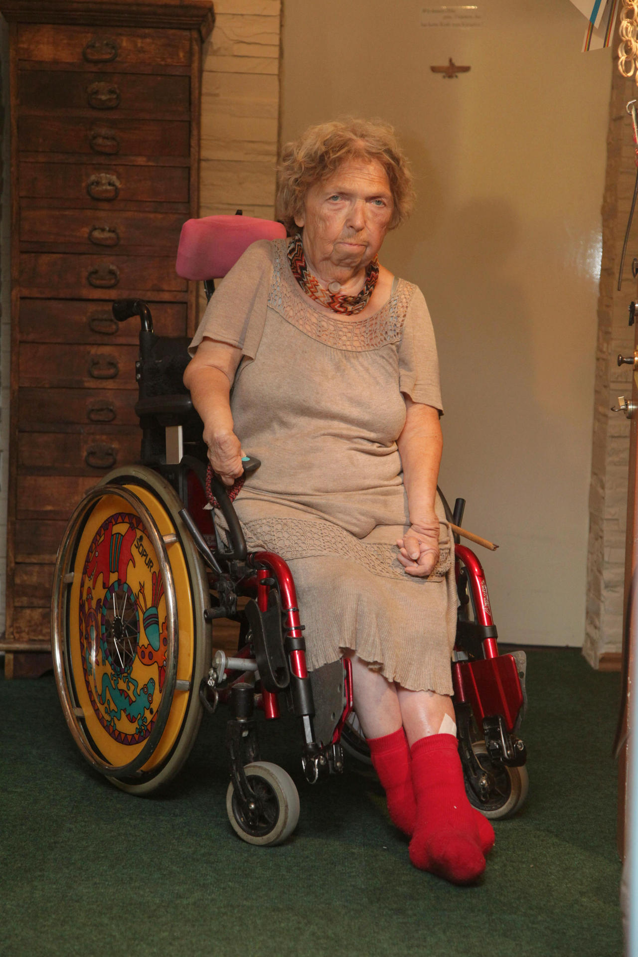 Image - Klassik-Konzert von Daniel Barenboim in der Waldbühne: Rentnerin wurde Eintritt wegen Topfpflanze verwerht