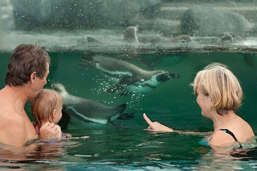 Bei Kindern und Familien extrem beliebt: der Pinguin-Bereich.