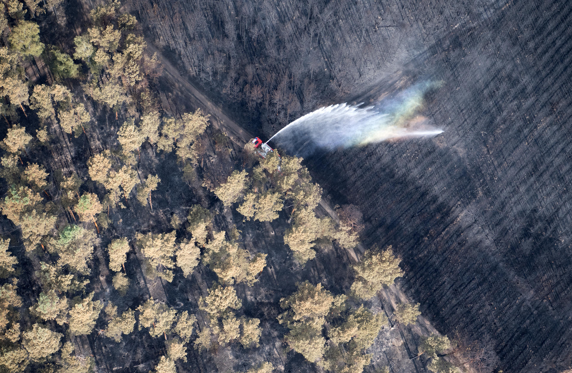 Image - Waldbrand: Feuerwehr löscht letzte Glutnester – Polizei ermittelt wegen Brandstiftung