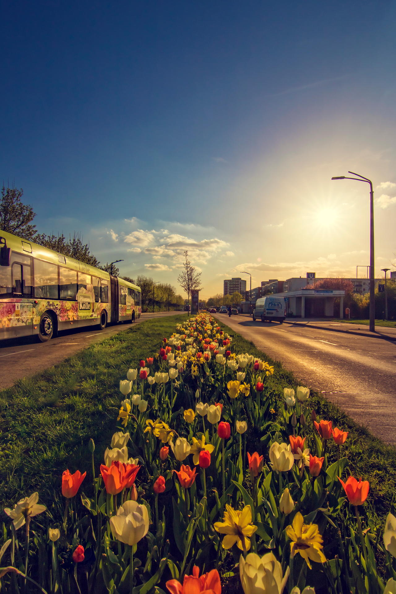 Auch ein einfacher Mittelstreifen auf der Straße kann ein gutes Fotomotiv sein – wenn der Fotograf den richtigen Blick hat. 