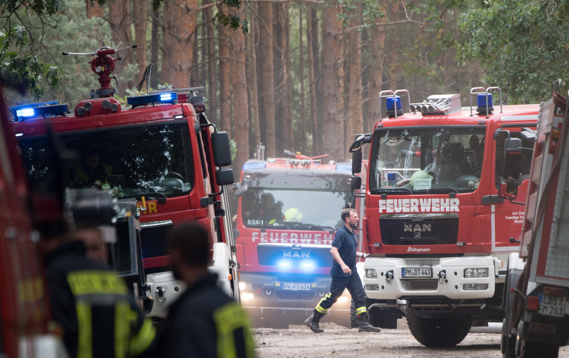 Image - Waldbrände in Brandenburg: Kreis warnt vor Sensationstouristen