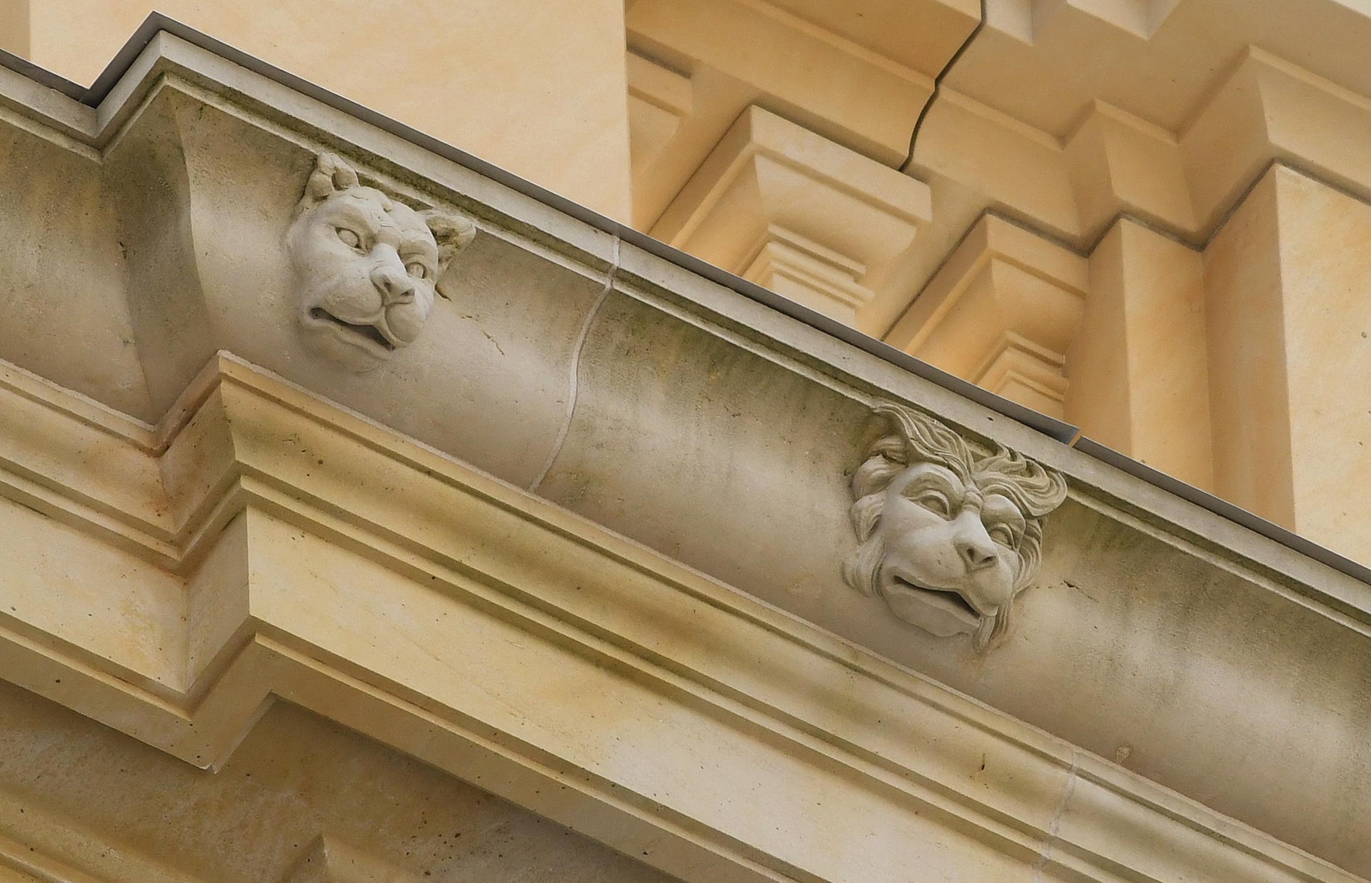 Kuriosität im Schlüterhof: Der ursprünglich männliche Löwenkopf an der Fassade wurde seiner Mähne beraubt. Grund: Heidi Hetzer, die das Geld für den Kopf spendete, wollte einen weiblichen Kopf verewigt sehen.  