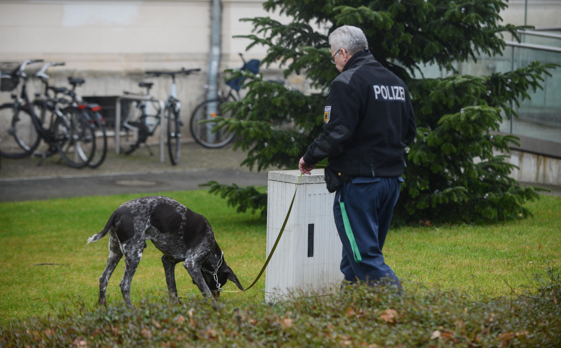 Image - Potsdam: Bomben-Panik im Gericht