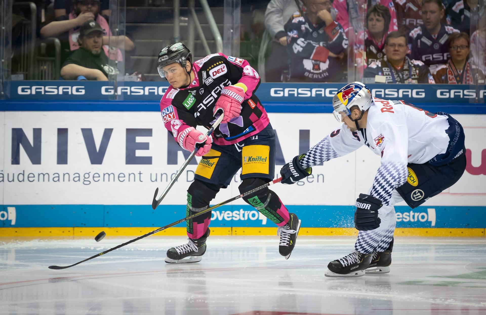 Image - Eisbär Leo Pföderl: Keine Gnade für die Ice Tigers