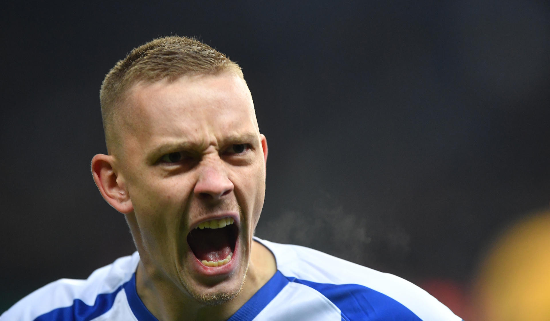 Image - Herthas Marius Wolf: Nur im Rudel sind wir stark!