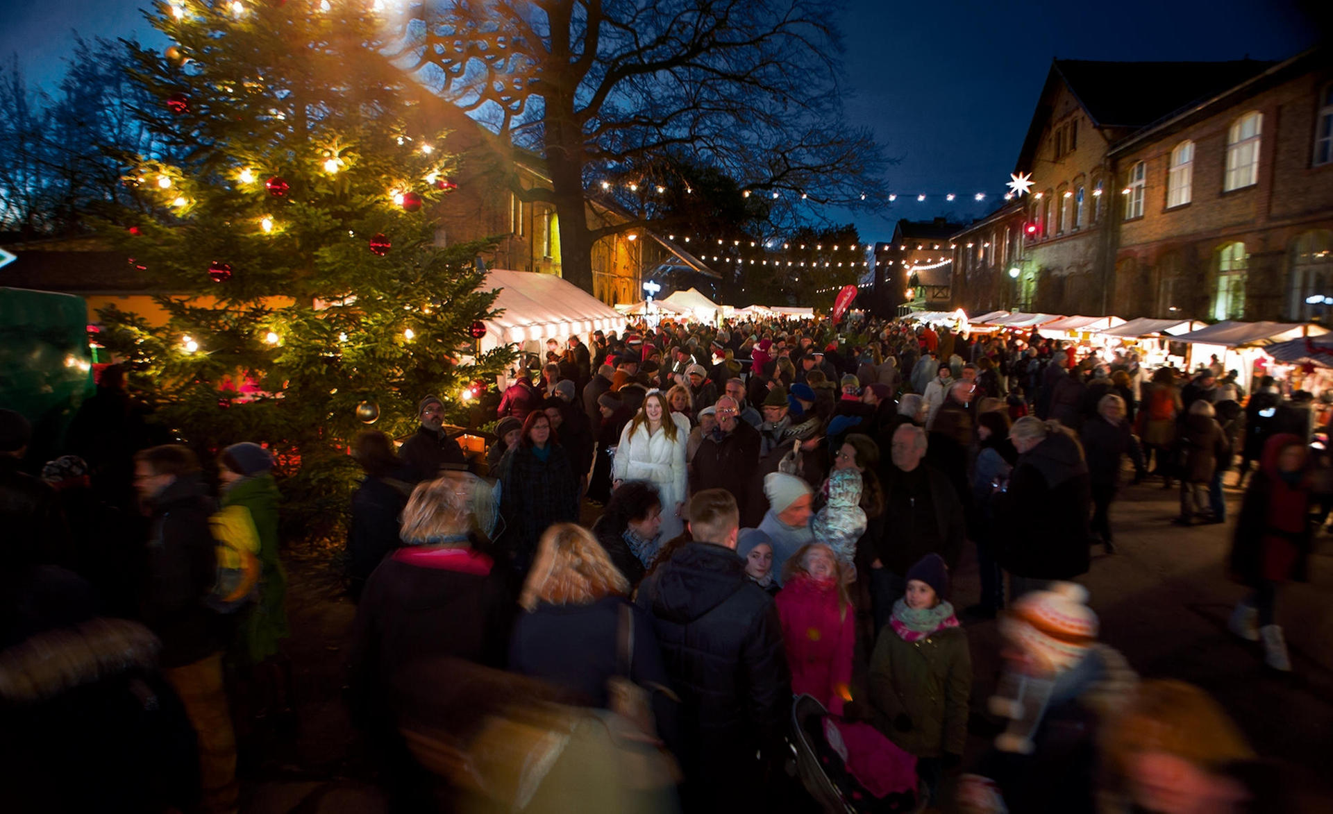 Start der Berliner Weihnachtsmärkte: Licht an für den Adventszauber!