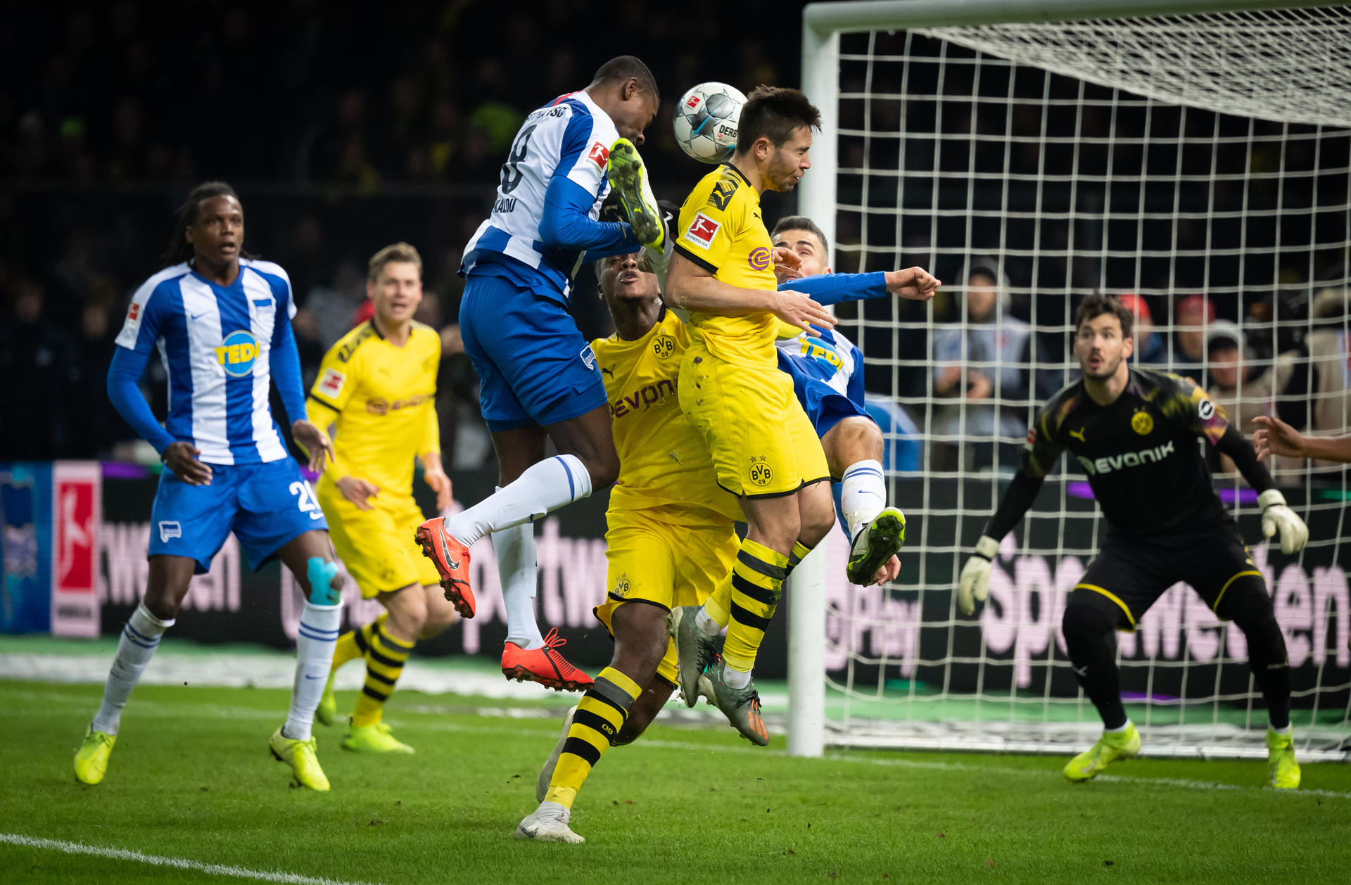 Image - BVB schlägt früh eiskalt zu : Hertha-Pleite bei Klinsis Debüt