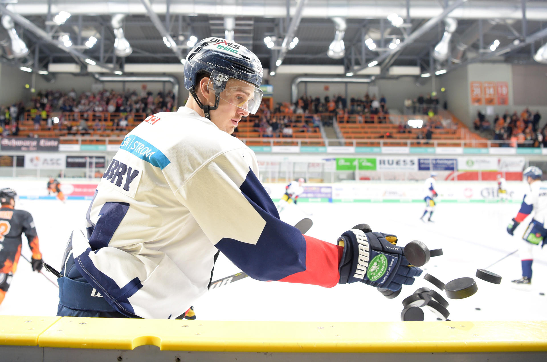 Image - Lazarett lichtet sich: Jetzt sind es fast die richtigen Eisbären ...