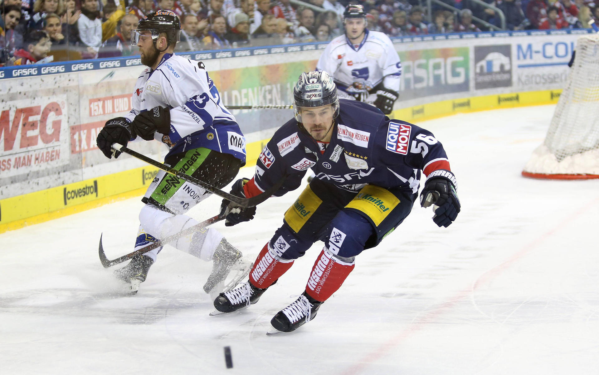 Image - Noch zwei Hauptrundenspiele: Martin Buchwieser ist der Eisbär für die gute Stimmung