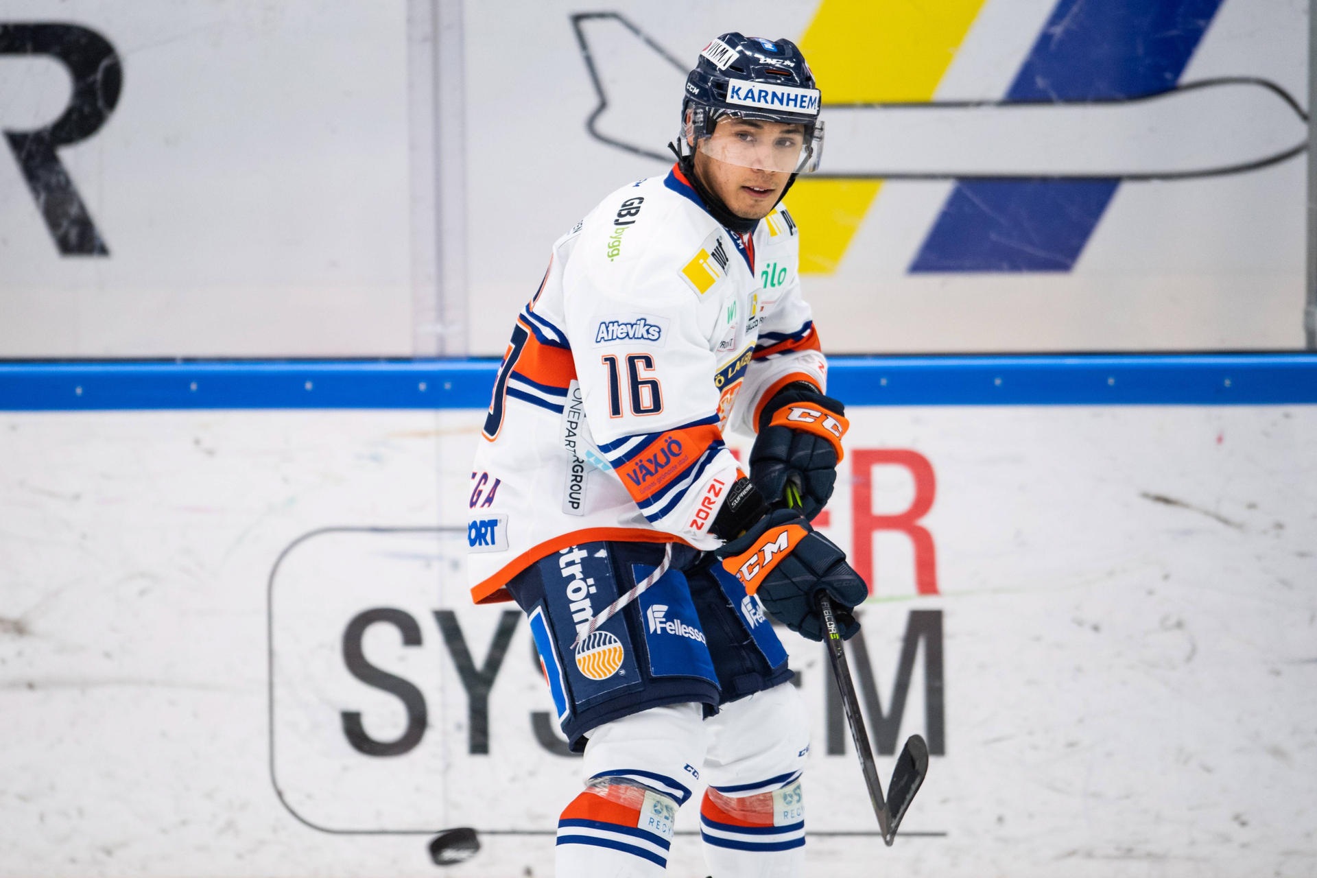 Der Neue legt los: Eisbären sicher: Ortega hilft uns schnell