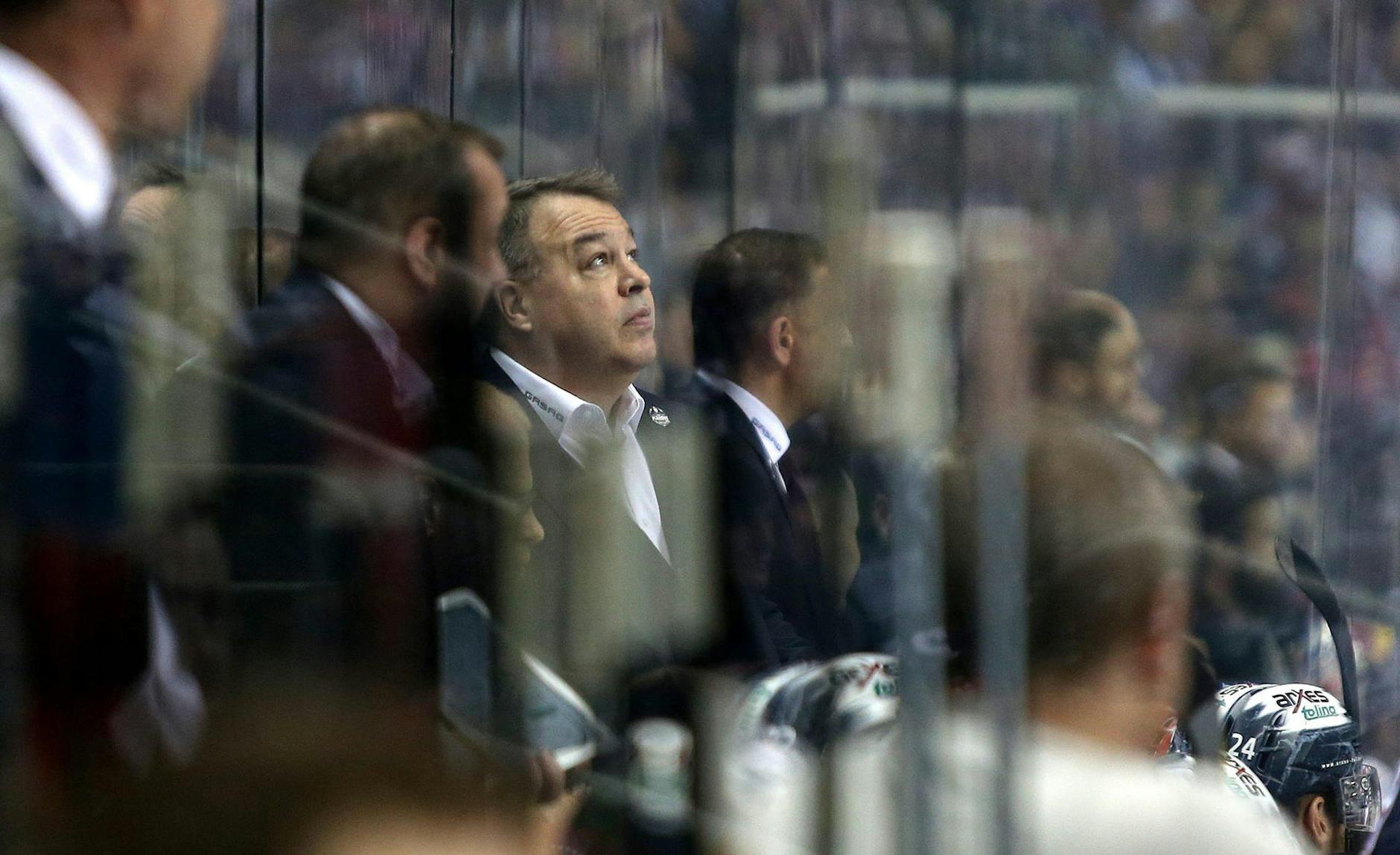 Trainersuche bei den Eisbären Manager Lee verrät Das soll der Neue