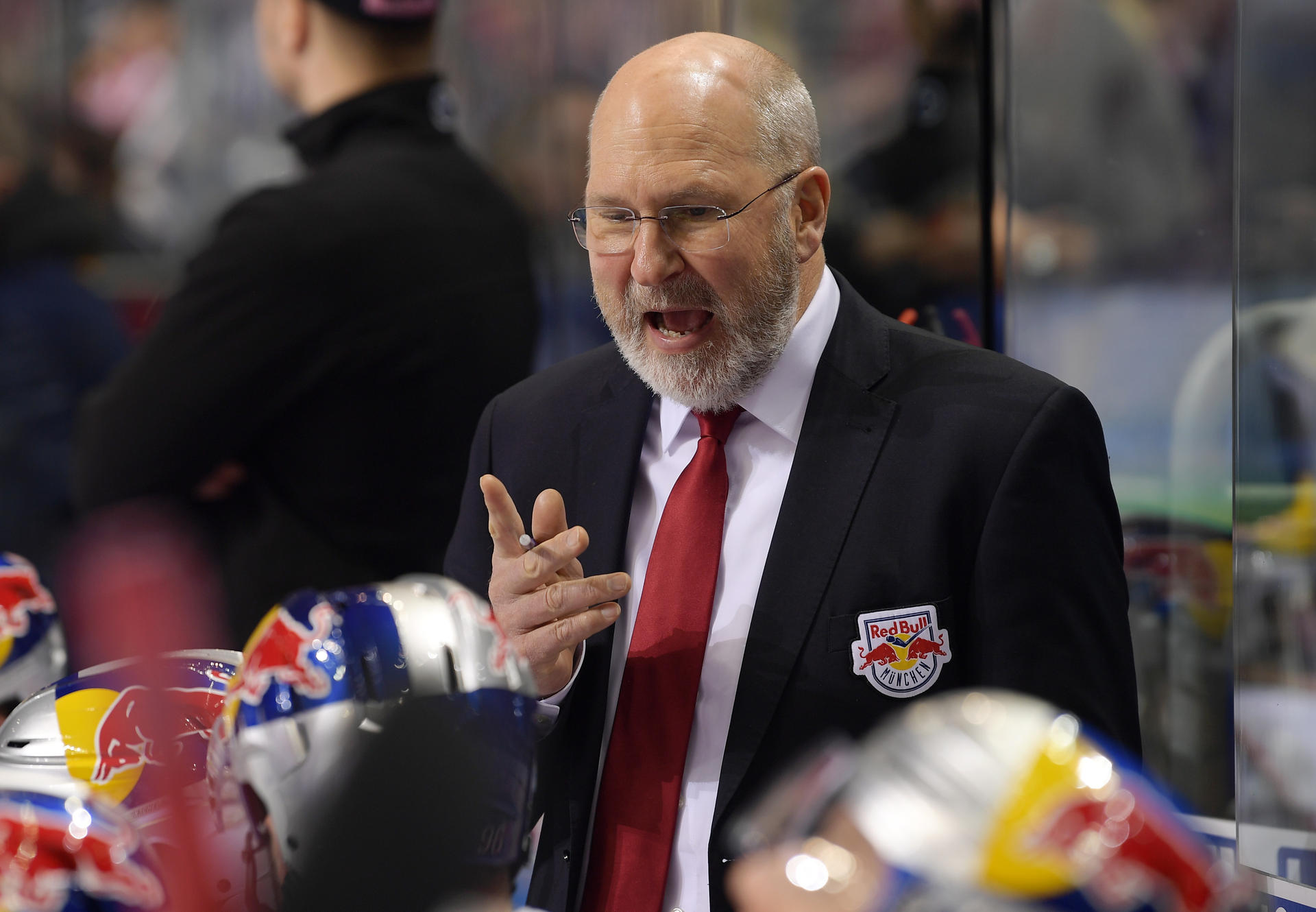 Image - Don Jackson verwundert: Eisbären frustrieren ihren Meister-Ex