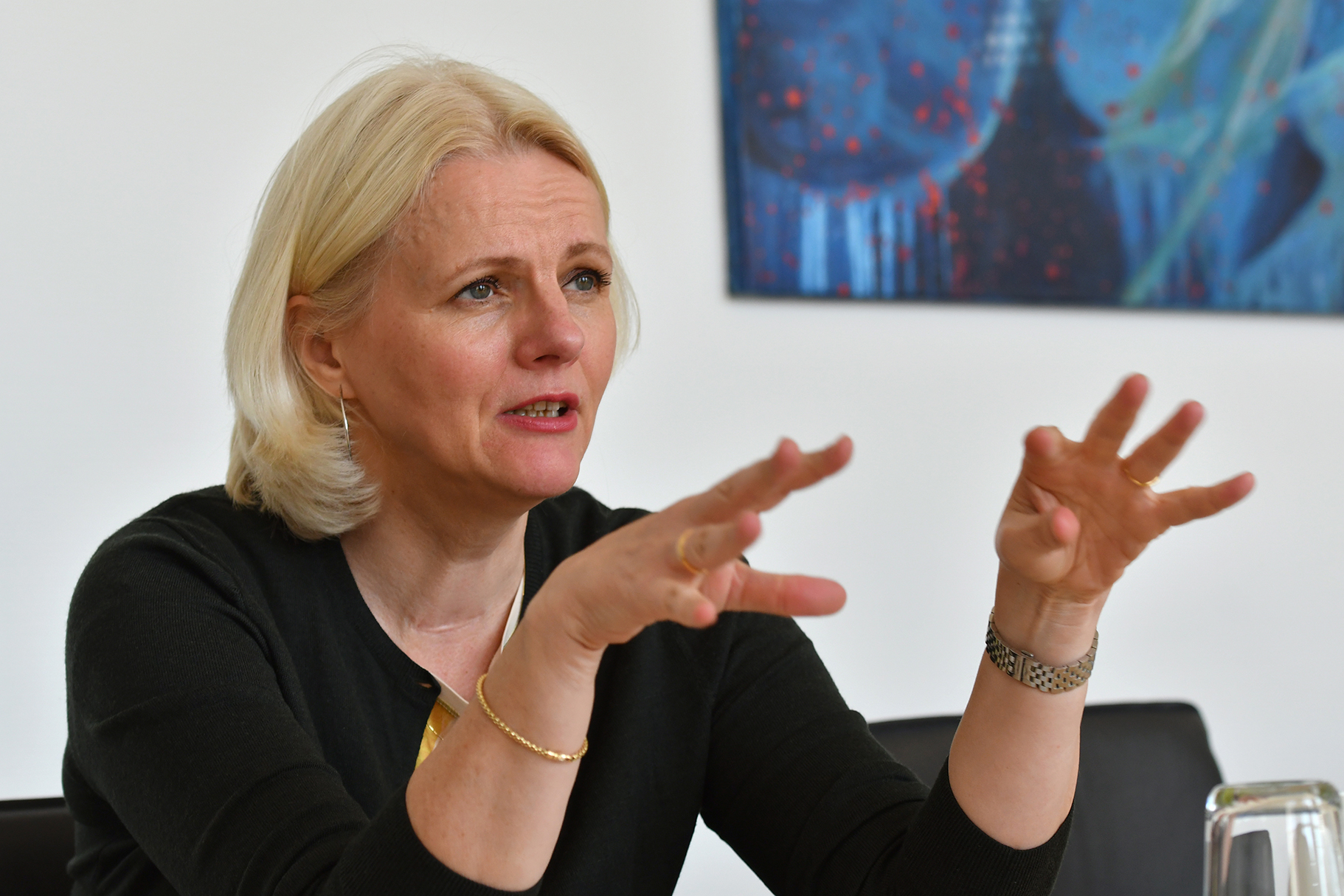 Image - Volksinitiative: Umweltsenatorin sieht keinen Klimanotstand