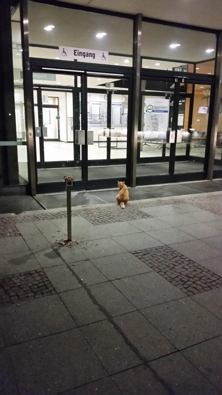 Campus Benjamin Franklin in BerlinSteglitz Charité sperrt Mieze aus