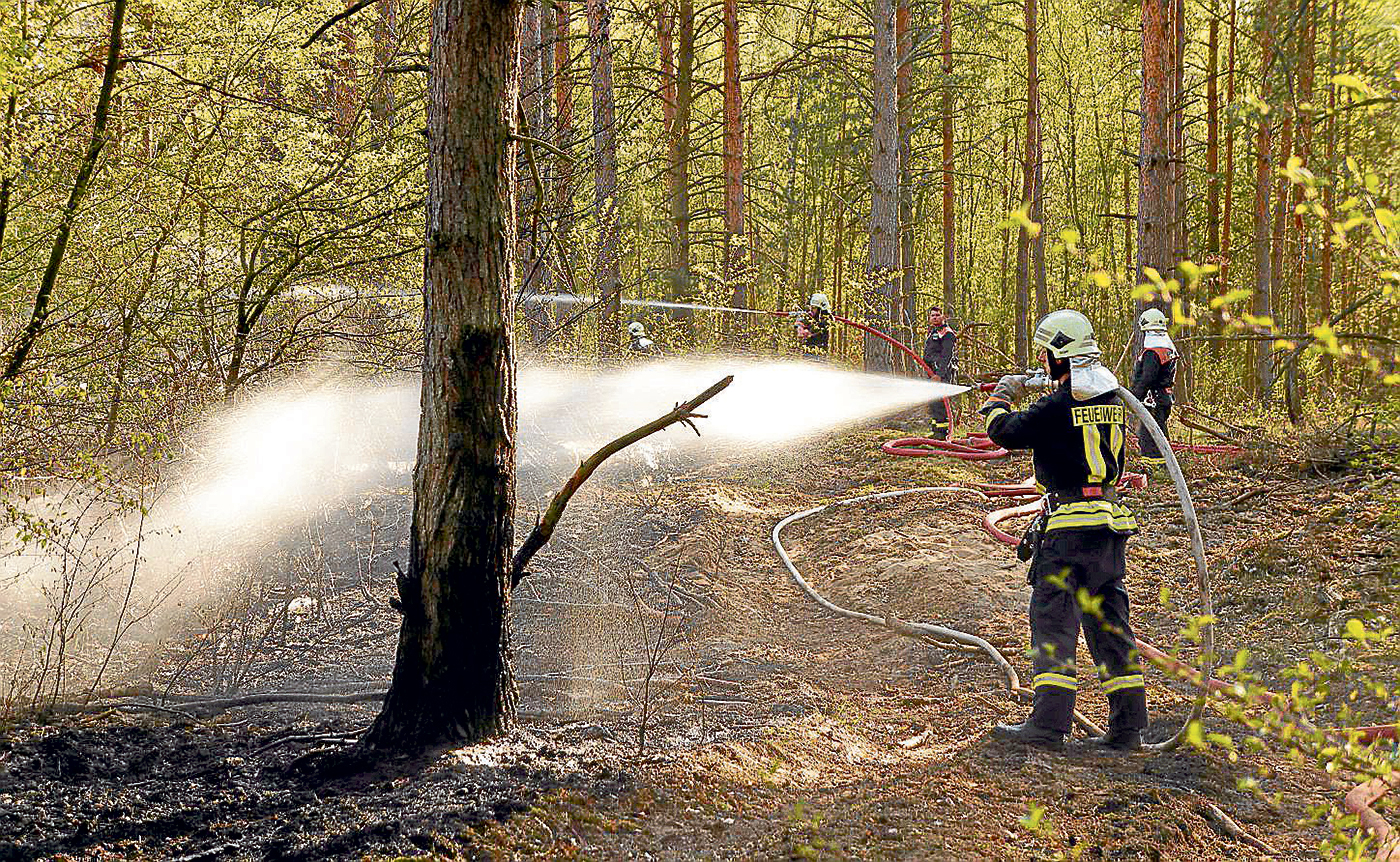 Image - Trockenheit: Meteorologen warnen vor neuem Jahrhundertsommer