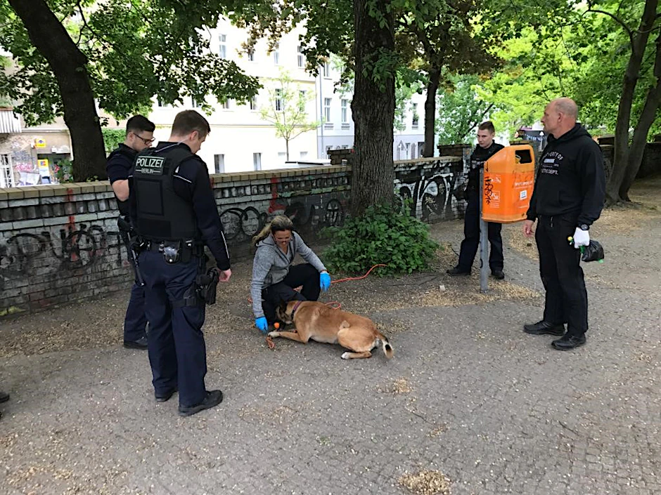 Ein Drogenspürhund im Görlitzer Park im Einsatz. 
