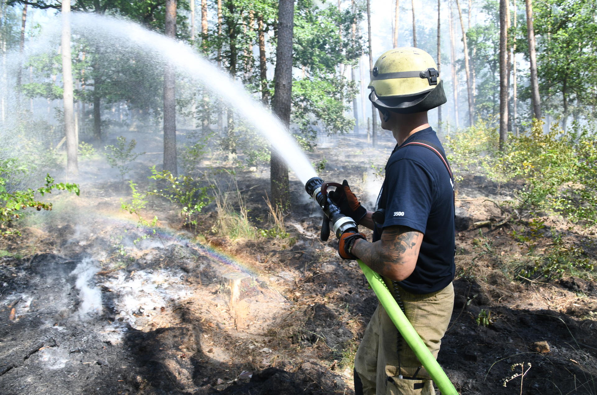 Image - Löscharbeiten dauern an: 16 Hektar bei Waldbrand in Grunewald betroffen