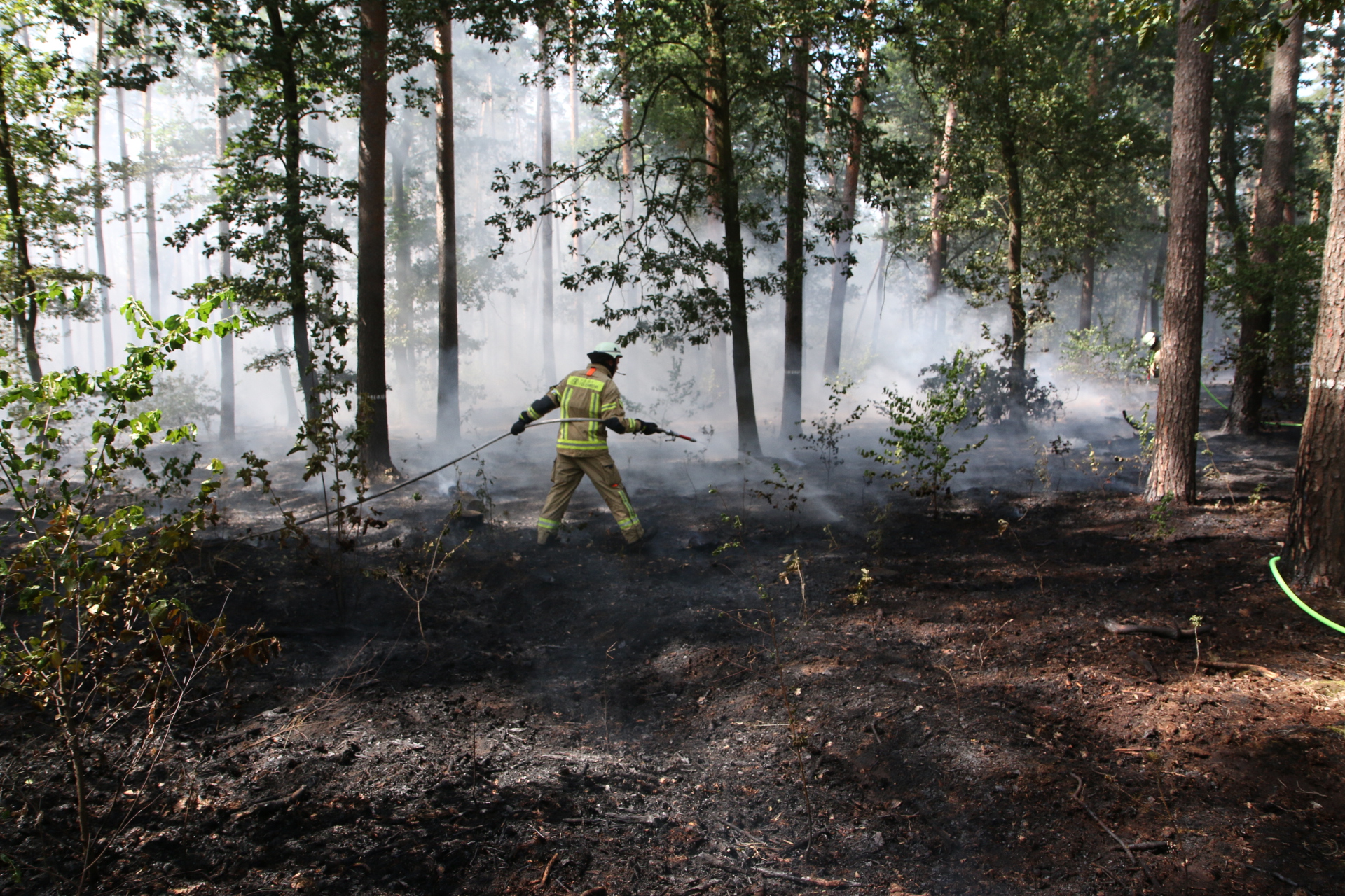 Image - Gefährlicher Wind: Lieberoser Heide: Brand unter Kontrolle, Lage weiter angespannt