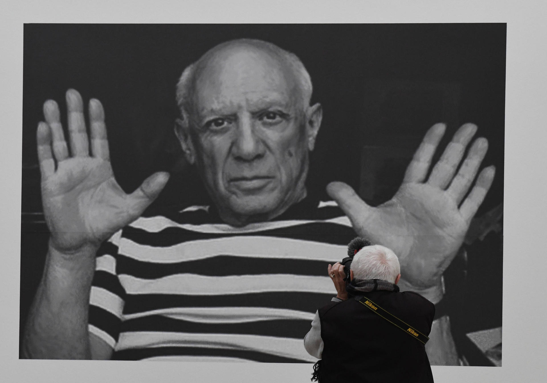 Image - Ich, Picasso: Ausstellung in Potsdam gewährt einen Blick in die Seele eines Genies