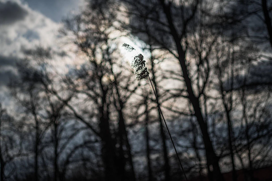 Wolken werden in den kommenden Tagen über uns aufziehen, aber die Regenmengen bleiben bescheiden.